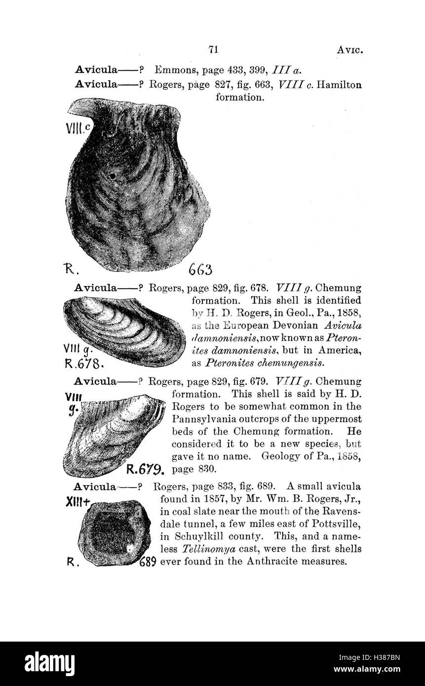 Questo dizionario fornisce un elenco completo e una descrizione delle specie fossili presenti in Pennsylvania e negli stati circostanti, sulla base di rapporti di indagine e cataloghi. Foto Stock