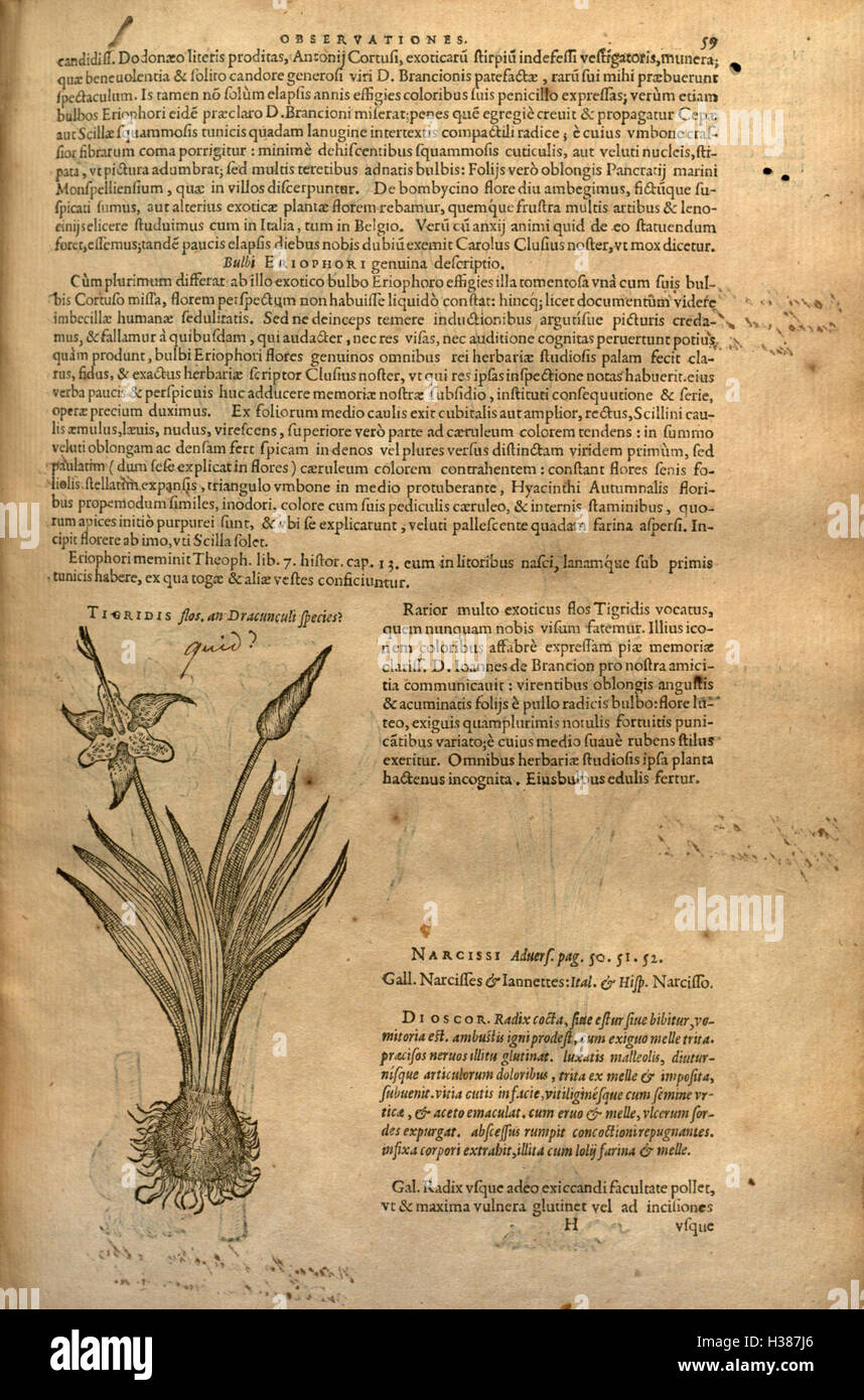 Un'opera botanica che illustra la storia e la classificazione delle piante, con particolare attenzione ai loro usi medicinali e all'organizzazione sistematica. Foto Stock Un'opera botanica che illustra la storia e la classificazione delle piante, con particolare attenzione ai loro usi medicinali e all'organizzazione sistematica. Foto Stock