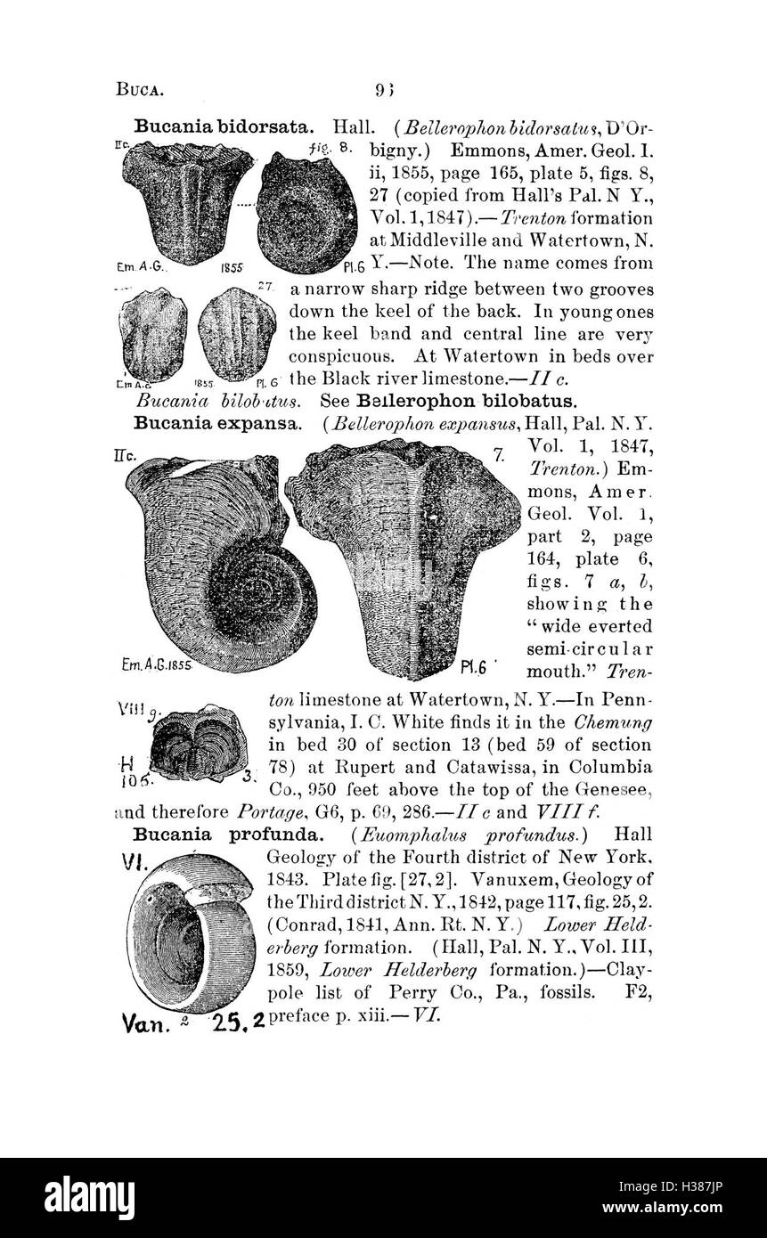 Questo dizionario fornisce un elenco dettagliato di specie fossili provenienti dalla Pennsylvania e dagli stati circostanti, sulla base di rapporti e cataloghi provenienti da indagini geologiche. Foto Stock