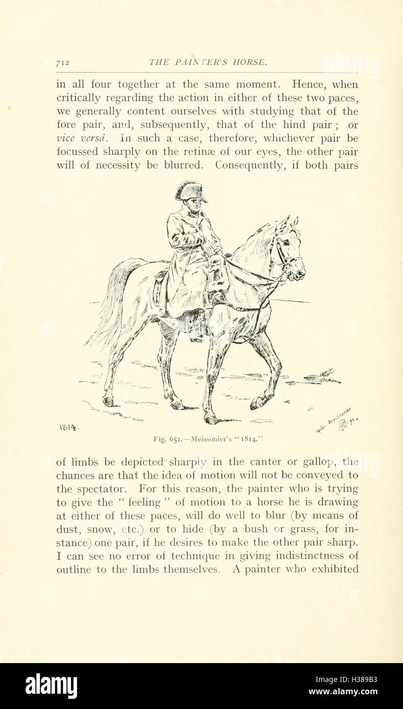 Questo lavoro analizza le caratteristiche anatomiche dei cavalli, concentrandosi su punti chiave come la struttura scheletrica, lo sviluppo muscolare e il movimento, cruciali per la comprensione della salute e dell'allenamento dei cavalli. Foto Stock