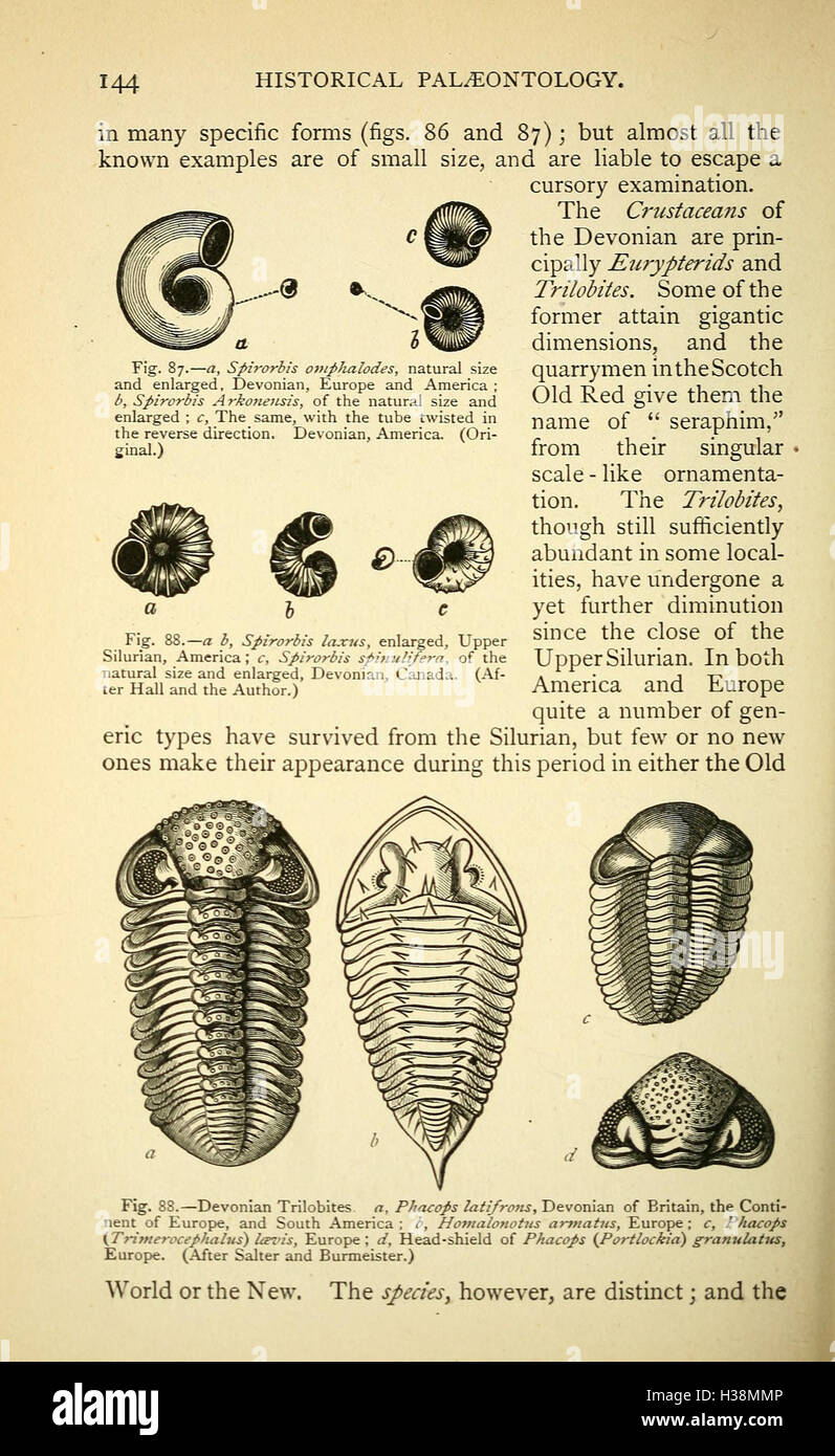Questa pagina esplora la storia geologica della Terra, concentrandosi sull'evoluzione delle forme di vita e sui principali cambiamenti negli ambienti del pianeta nel tempo. Foto Stock