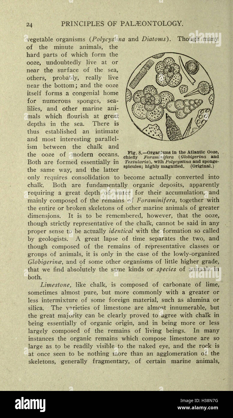 Questo testo esplora la storia geologica della Terra, concentrandosi sui principali eventi che hanno plasmato il pianeta, dalla sua formazione fino allo sviluppo delle prime forme di vita e degli ecosistemi. Foto Stock