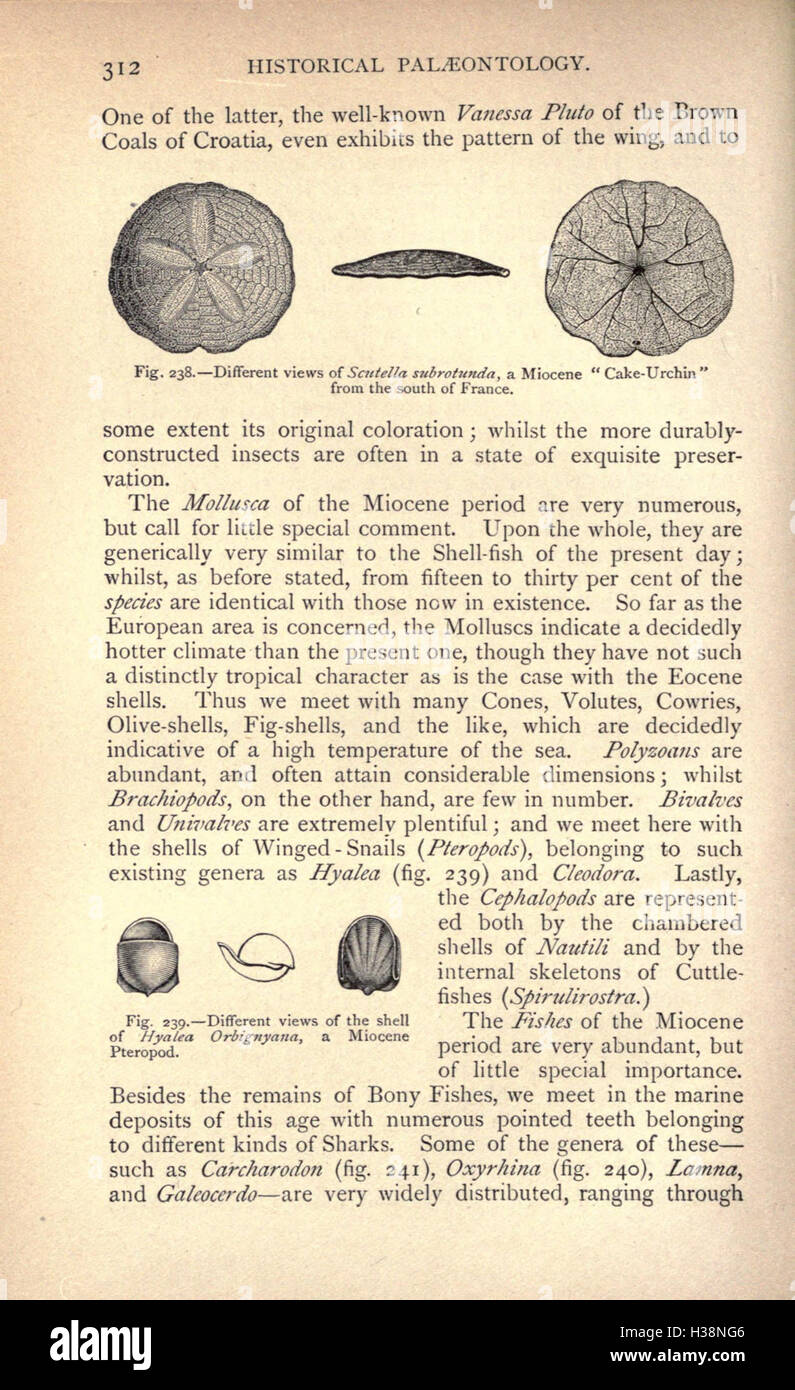 Questo testo esplora la storia geologica e biologica della Terra, descrivendo dettagliatamente eventi significativi nello sviluppo del pianeta, tra cui l'evoluzione della vita, i principali eventi di estinzione e la formazione degli ambienti della Terra nel tempo. Foto Stock