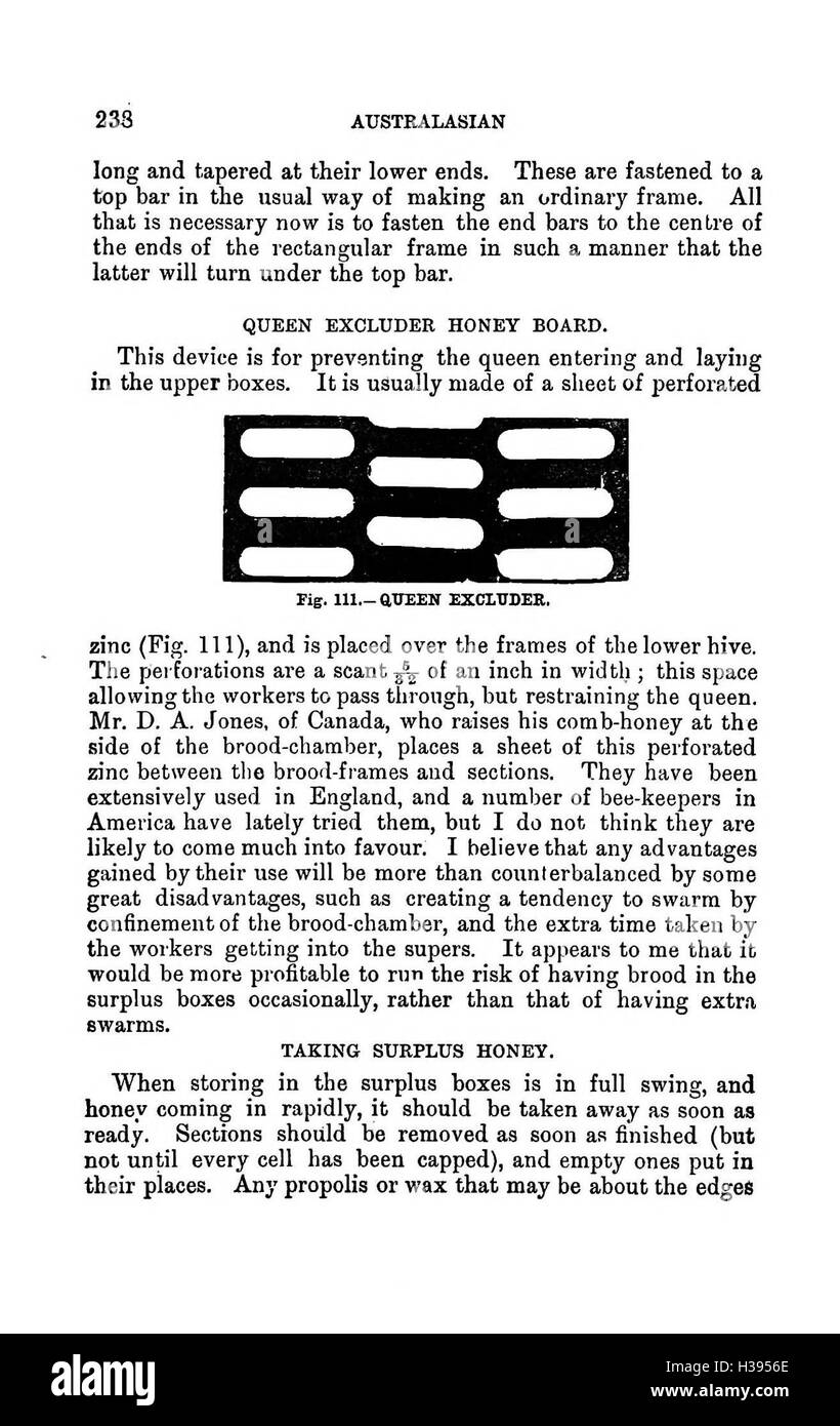 L'illustrato Australasian bee manuale e guida completa alla moderna cultura delle api nell'emisfero sud BHL385 Foto Stock