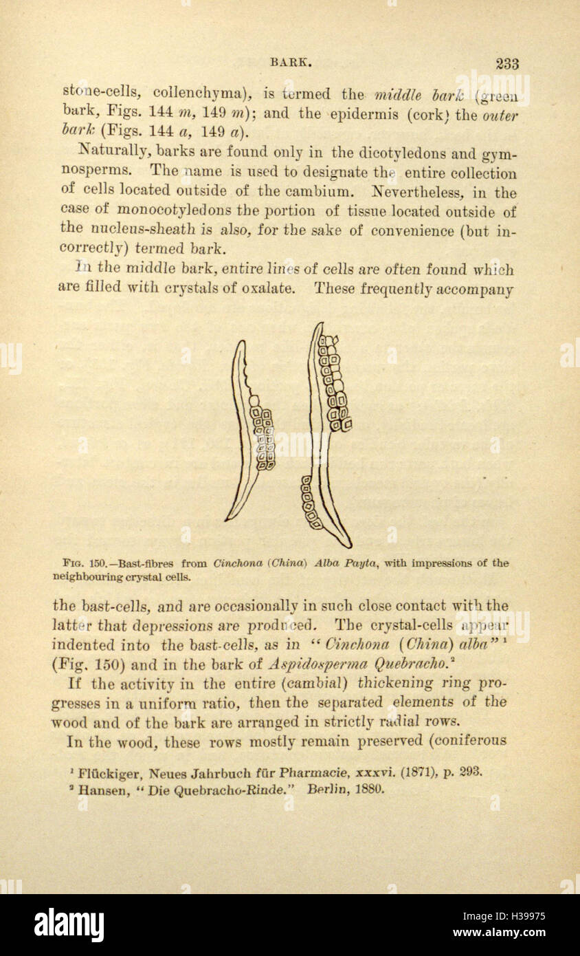 Questo lavoro discute i principi della farmacognosia, concentrandosi sullo studio delle piante medicinali, le loro proprietà, usi e la preparazione di medicinali naturali. Tratta argomenti quali l'identificazione delle piante, i composti bioattivi e i rimedi vegetali. Foto Stock