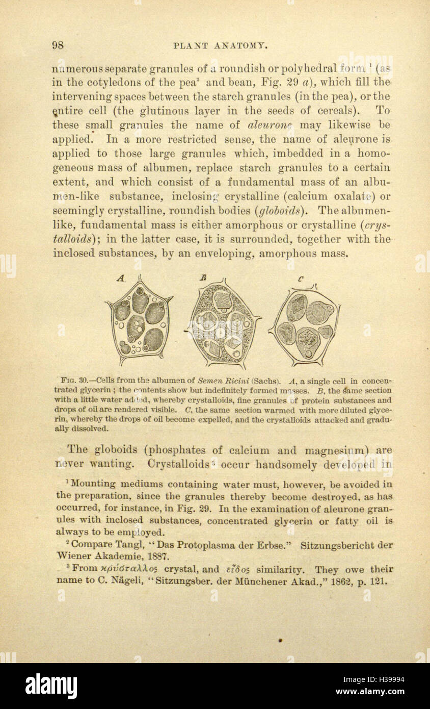 Questo testo delinea i principi della farmacognosia, lo studio delle piante medicinali e dei loro composti bioattivi naturali utilizzati nella medicina tradizionale e moderna. Foto Stock