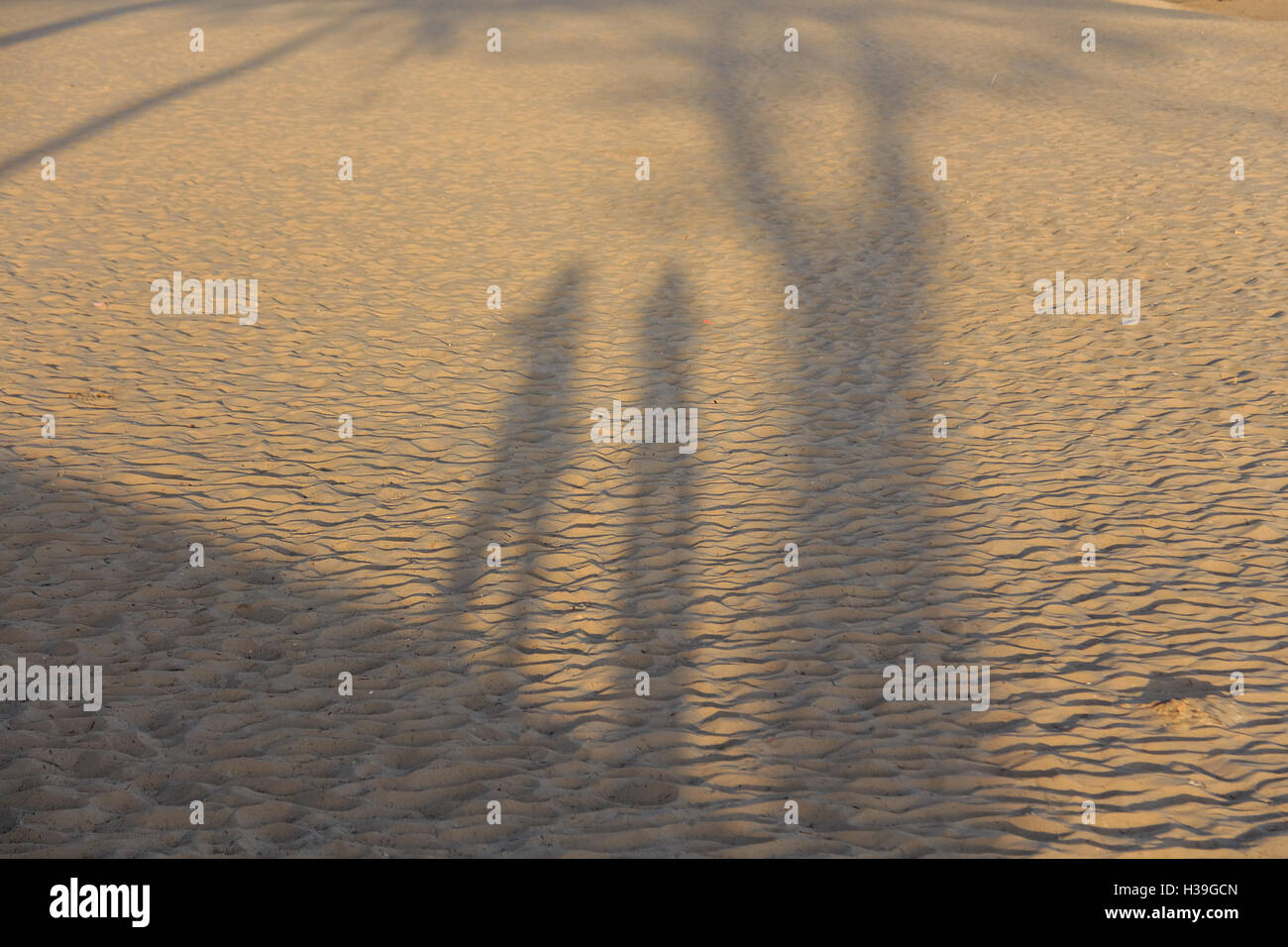 Spiaggia, ombra, giovane, insolito, famiglia, foto, medio, focus, sfondo, persone, azienda, mare, estate, abbraccio, out, foto, concep Foto Stock