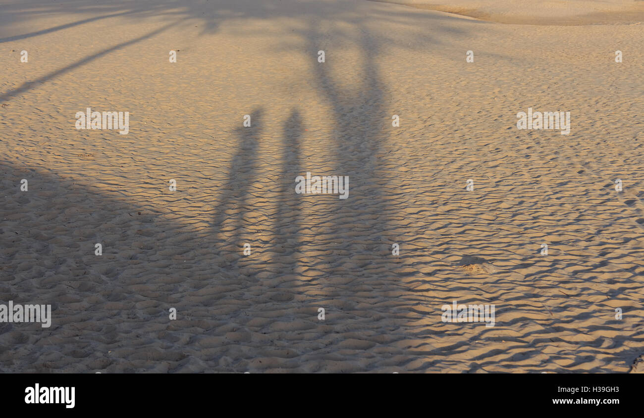 Spiaggia, ombra, giovane, insolito, famiglia, foto, medio, focus, sfondo, persone, azienda, mare, estate, abbraccio, fuori, foto Foto Stock