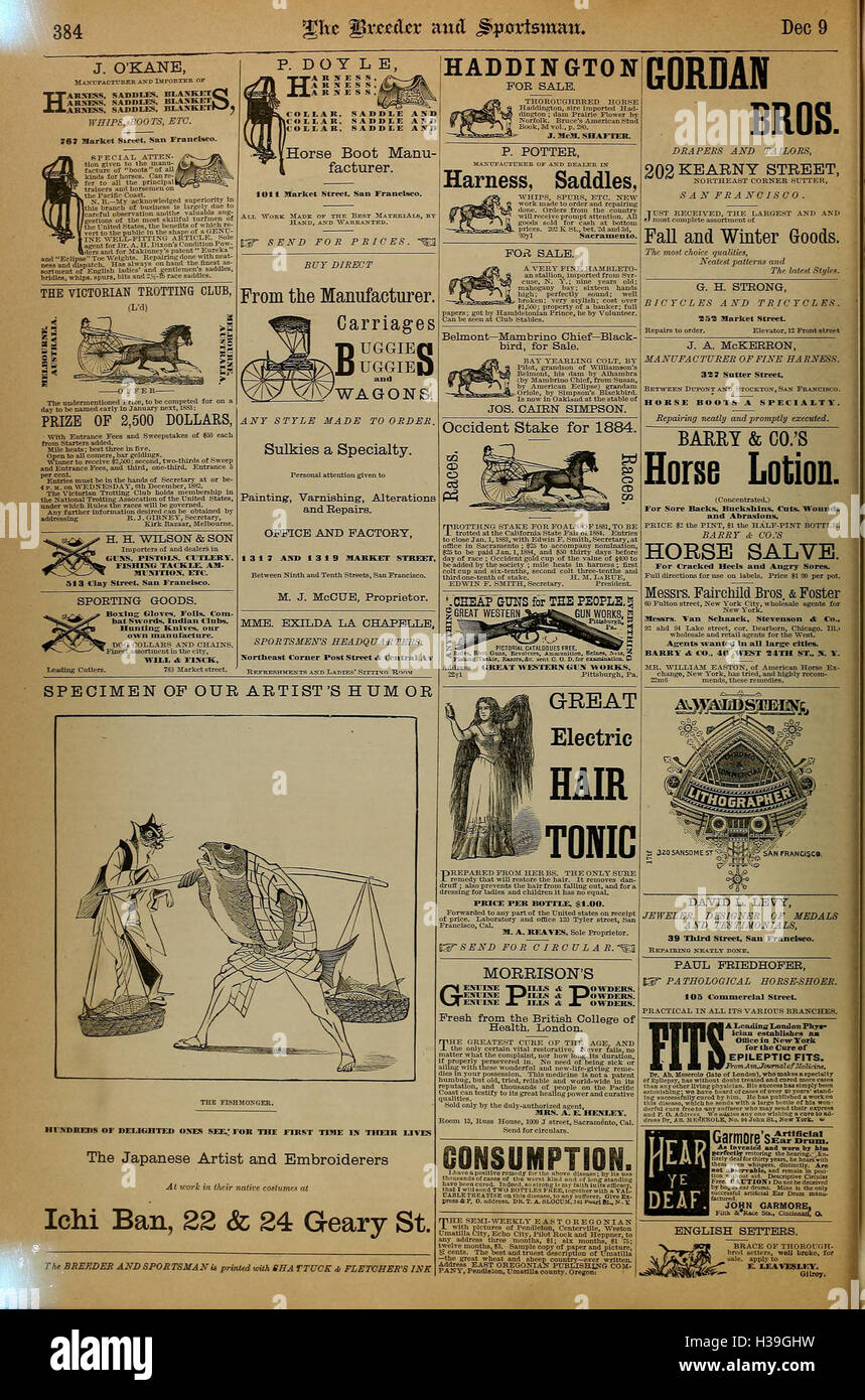 Questa pagina esplora il ruolo degli allevatori e degli sportivi nello sviluppo e nell'addestramento dei cavalli, compresi i loro contributi agli sport equini. Foto Stock