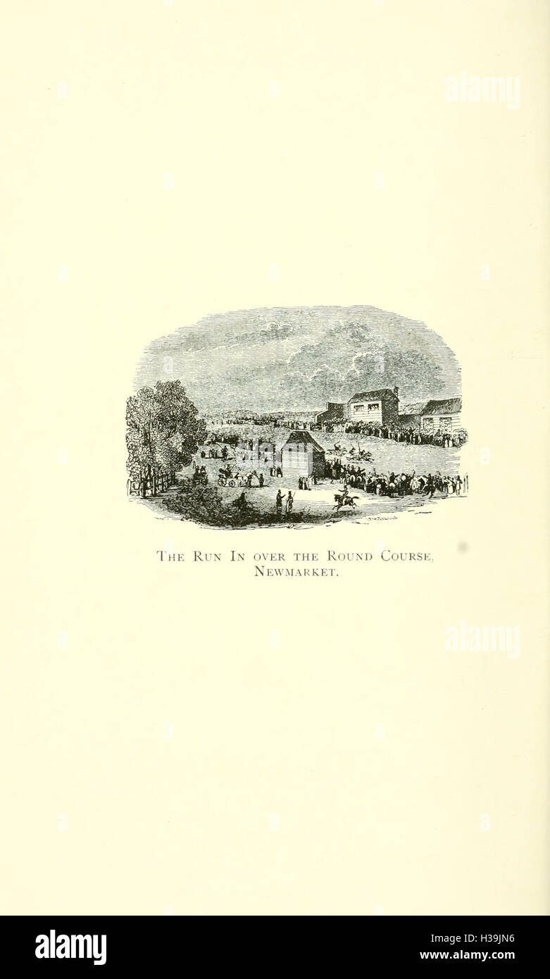 Questo libro presenta capitoli chiave nella storia del tappeto erboso, esaminando lo sviluppo e l'importanza del tappeto erboso in vari sport e attività, come il tennis su prato e il cricket. Foto Stock