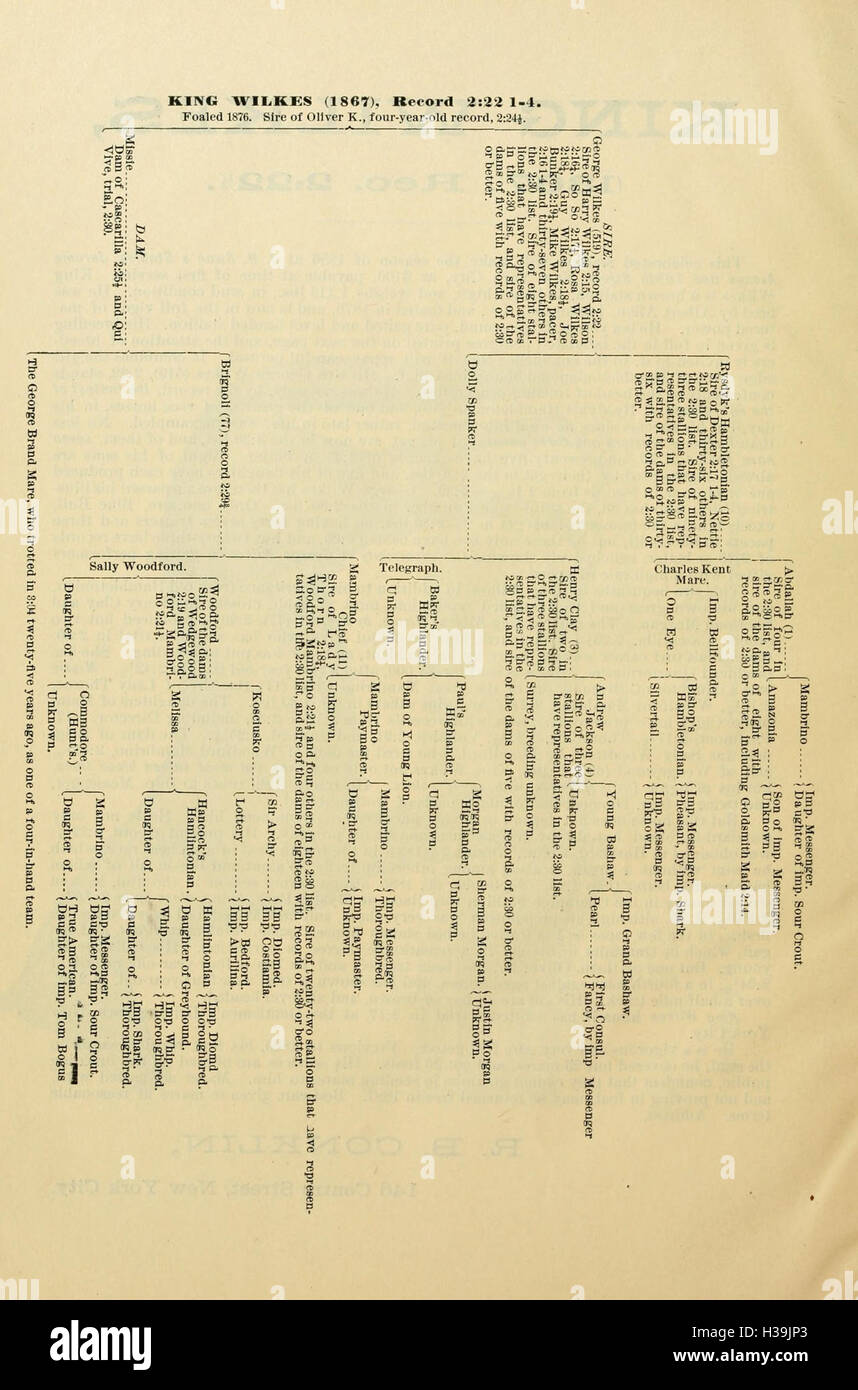 Chester completo del trotto e record di stimolazione, contenente una sintesi di tutte le razze trotted o stimolato negli Stati Uniti o in Canada, fin dalle prime date alla chiusura del 1885 BHL184 Foto Stock