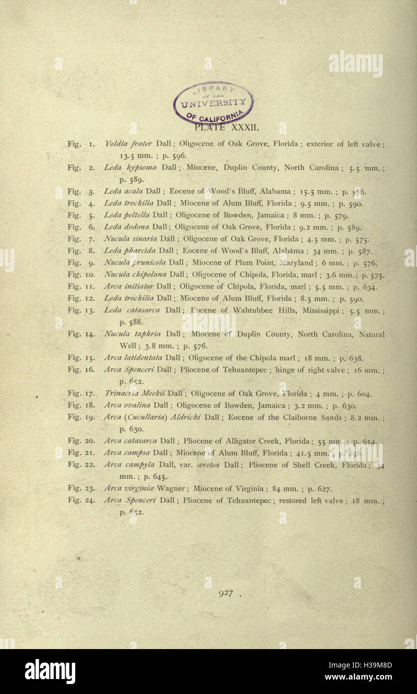 Questo lavoro descrive in dettaglio la fauna del periodo terziario della Florida, esaminando le specie che vivevano durante questo periodo e i loro resti fossili. Foto Stock