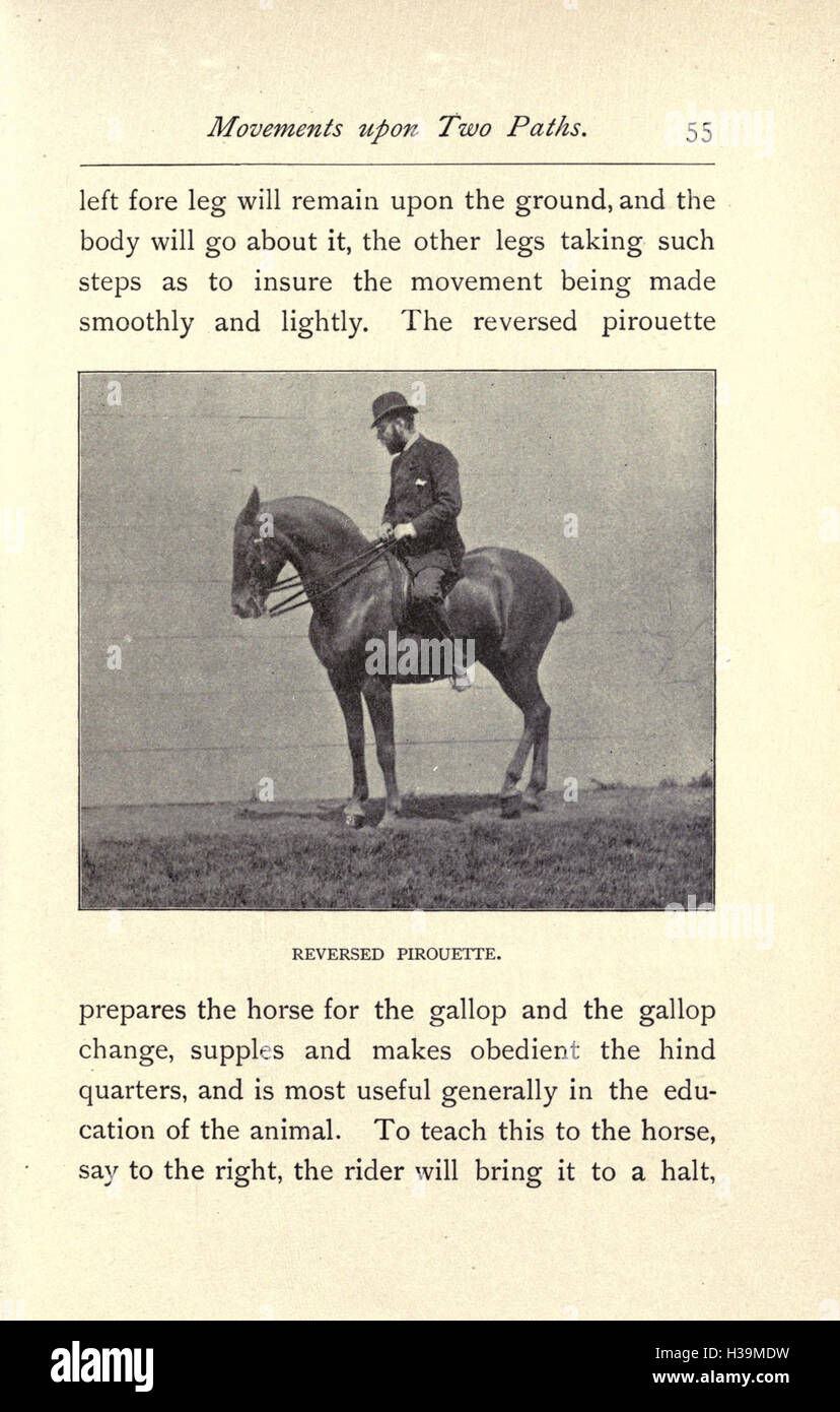 In questo lavoro vengono discusse le principali attrezzature per cavalli, in particolare le punte di marciapiede, gli scodellini e gli speroni, i loro progetti, funzioni e applicazioni nelle attività equestri. Pagina 55 esplora il loro uso storico e moderno nell'allenamento e nell'equitazione. Foto Stock