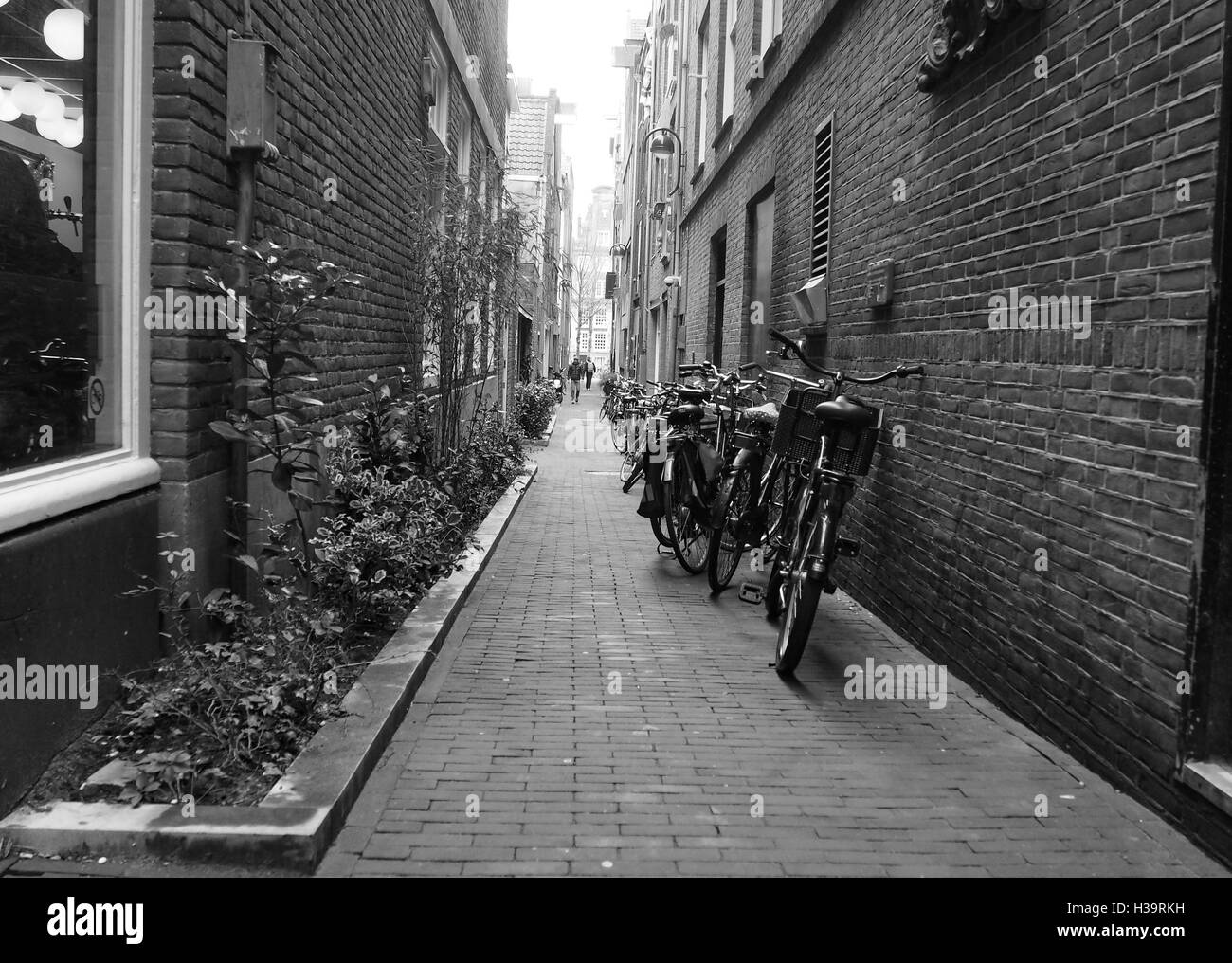 Lungo e stretto vicolo in Amsterdam, Paesi Bassi Foto Stock