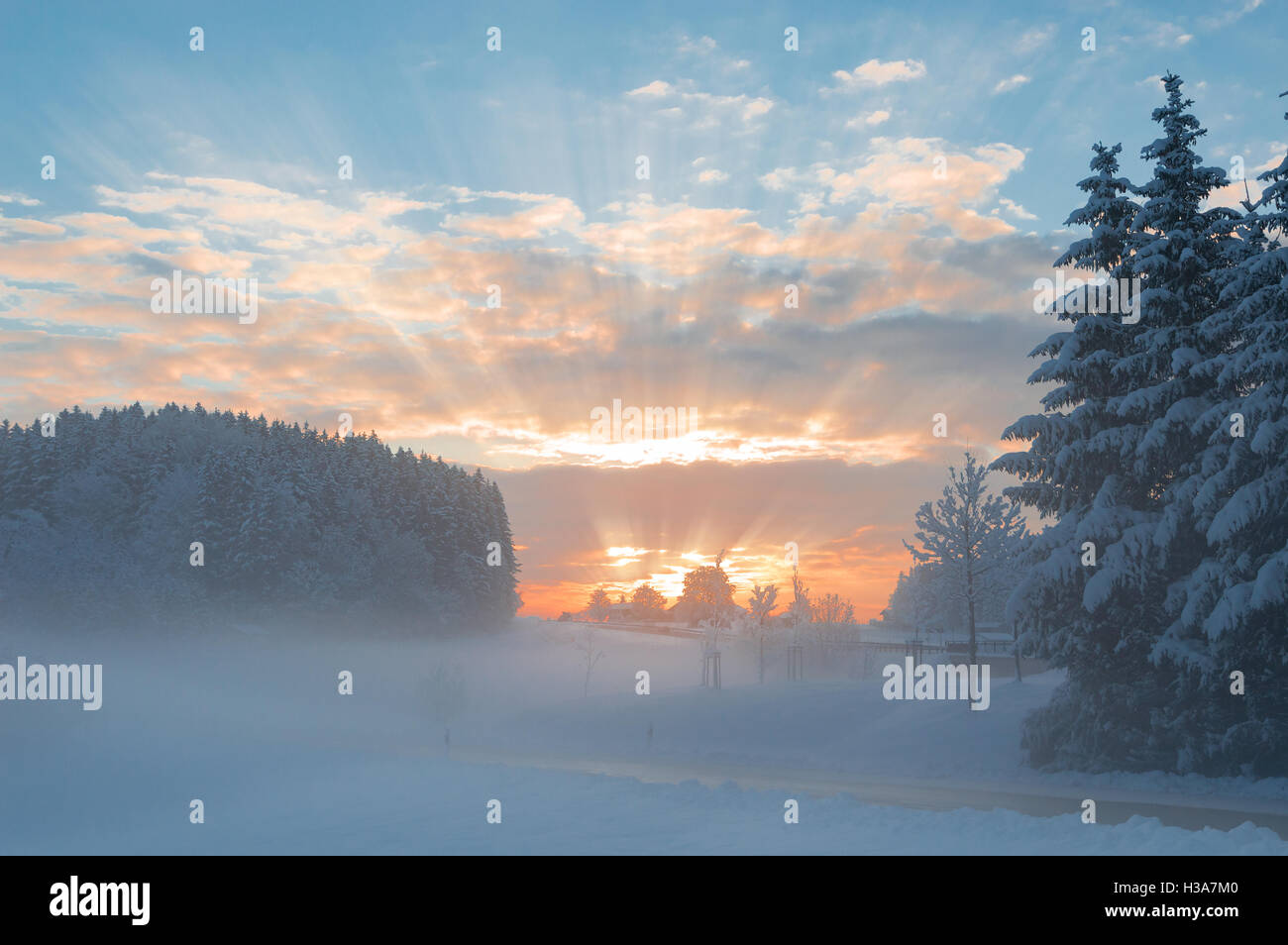 Inverno mattina snowy tranquillo paesaggio rurale con la nebbia sulla foresta snowbound e alba i raggi di luce solare rottura attraverso le nuvole Foto Stock