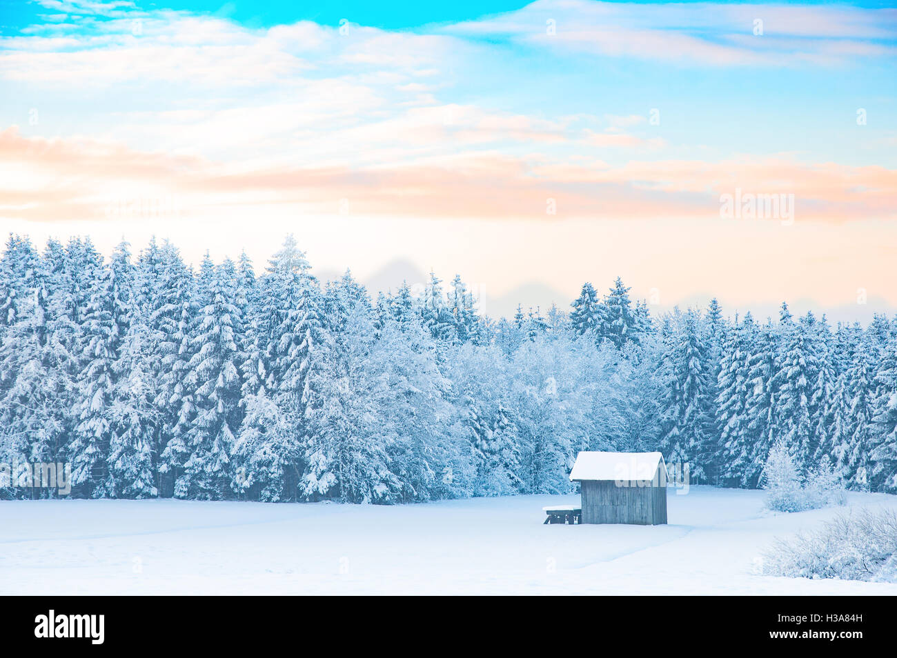 La mattina presto in inverno il paesaggio rurale con coperte di neve la foresta e sfumature pastello colorato alba sunrise sky Foto Stock