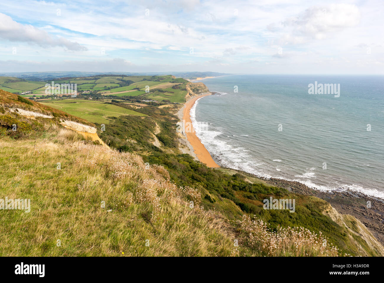 Guardando ad est dalla sommità del cappuccio dorato, Dorset, Regno Unito, il punto più alto sulla costa sud dell'Inghilterra, verso il lontano West Bay. Foto Stock