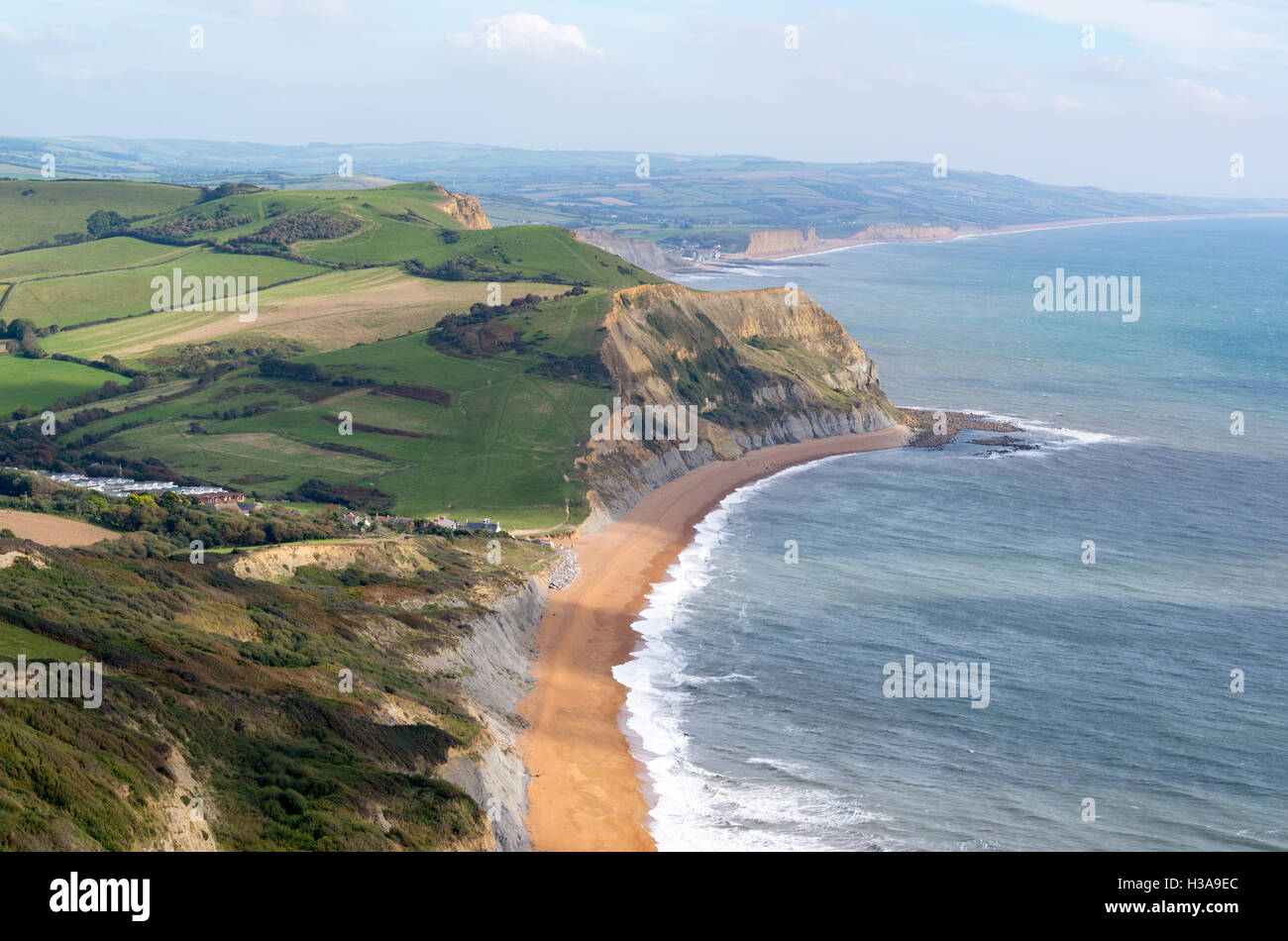 Guardando ad est dalla sommità del cappuccio dorato, Dorset, Regno Unito, il punto più alto sulla costa sud dell'Inghilterra, verso il lontano West Bay. Foto Stock