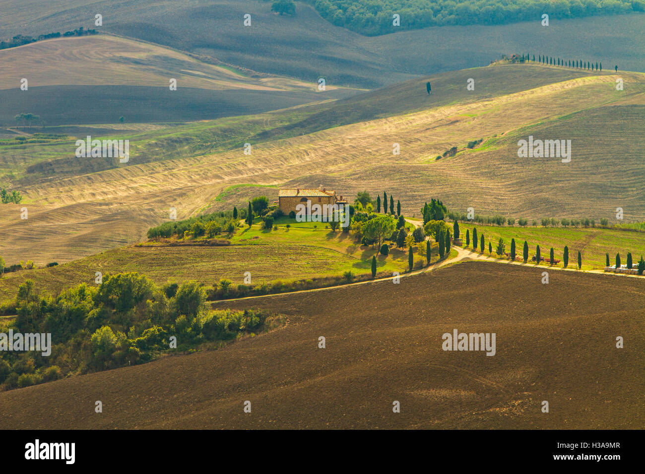 Il paesaggio della Val d'Orcia vicino a Siena, Toscana, Italia in autunno Foto Stock