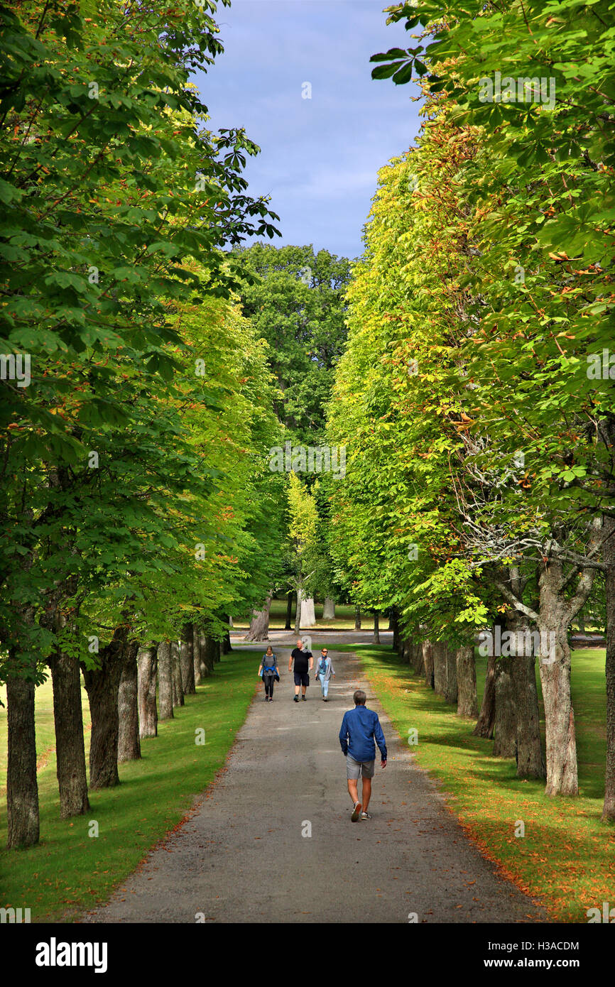 Passeggiate nei giardini del Castello di Drottningholm, durante una crociera quotidiana al lago Malaren da Stoccolma, Svezia. Foto Stock