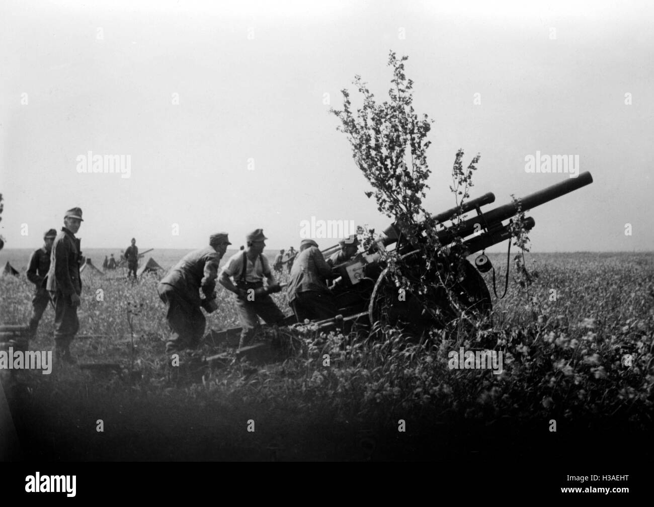 Artiglieria tedesca nei pressi di Kharkov, Giugno 1942 Foto Stock