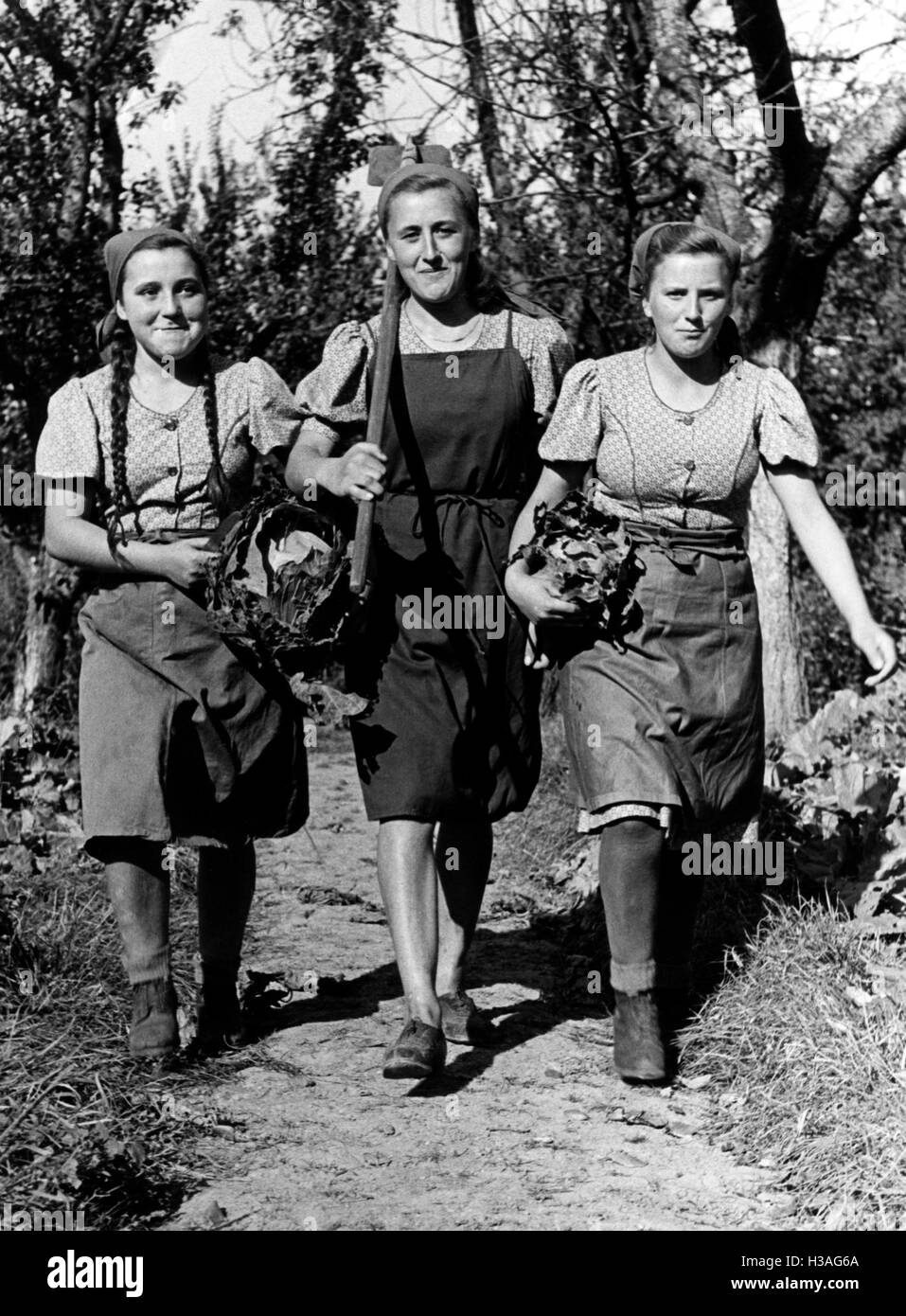 Ritorno Landjahrmaedels da giardinaggio, 1941 Foto Stock