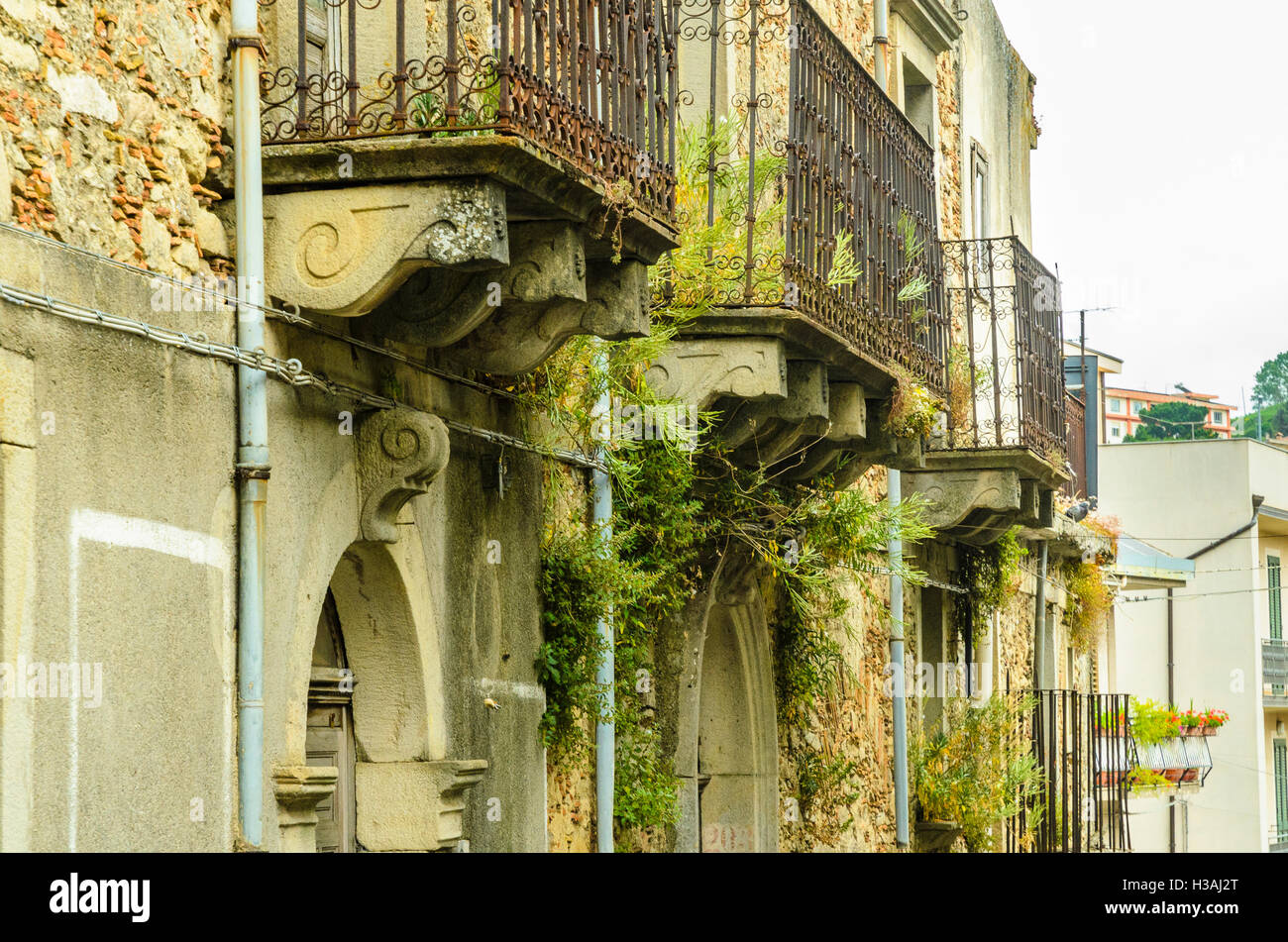 Erbacce crescere intorno balconi nella città di Montalbano Elicona in provincia di Messina, Sicilia, Italia Foto Stock