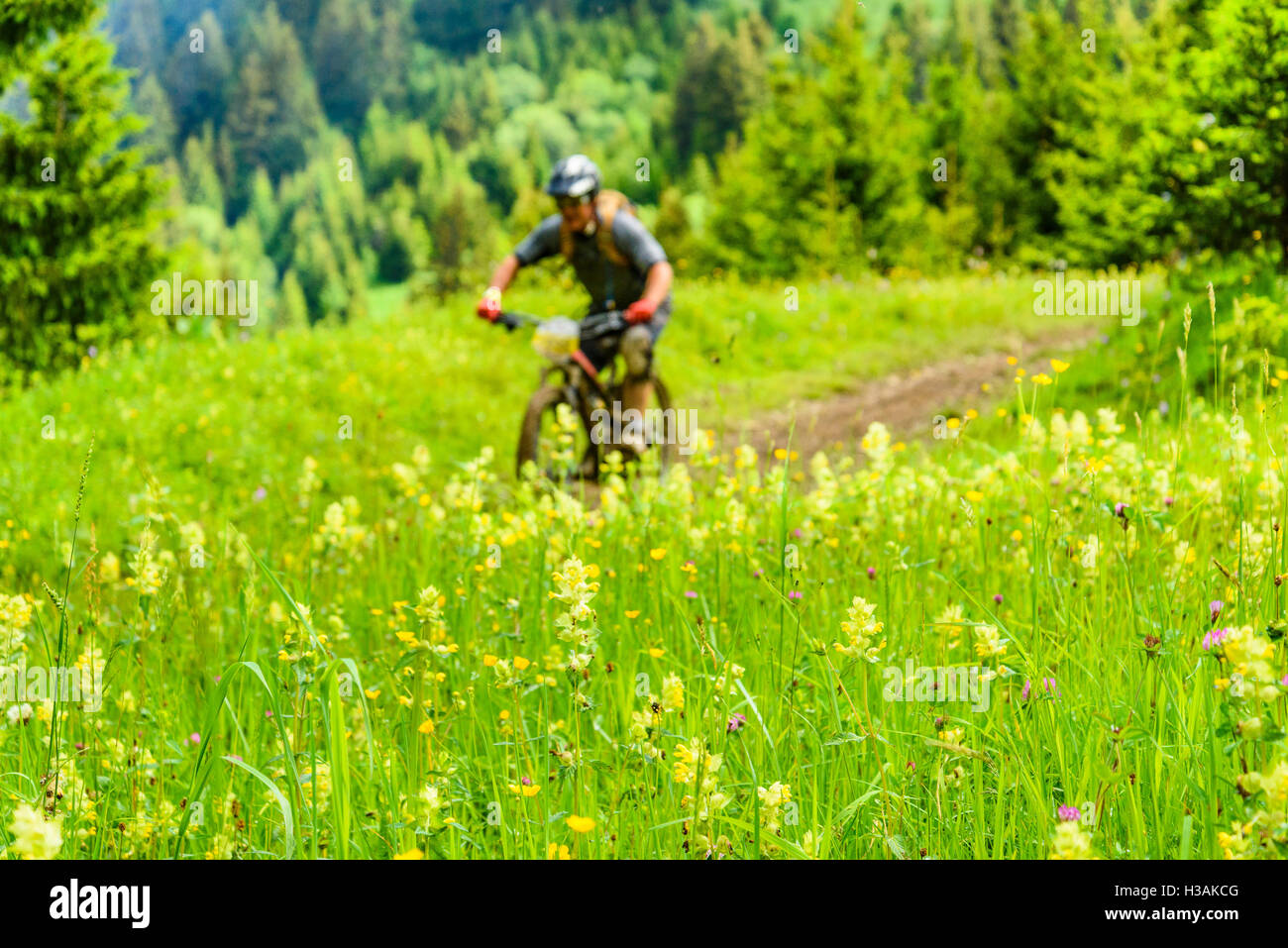 Rider che partecipano al Pass'Portes du Soleil 2016 MTB mountain bike evento attraverso il confine franco-svizzero Foto Stock