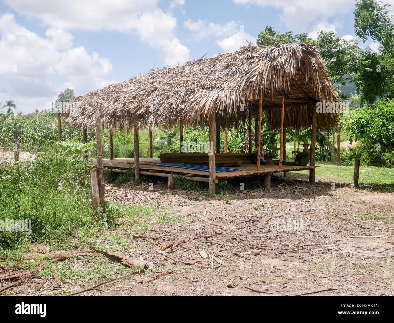 Ranch e bungalows costruiti in stile cubano su Cuba, legno, paglia e altri materiali locali vengono utilizzati per costruire e mantenere questi bellissimi i tubi flessibili Foto Stock