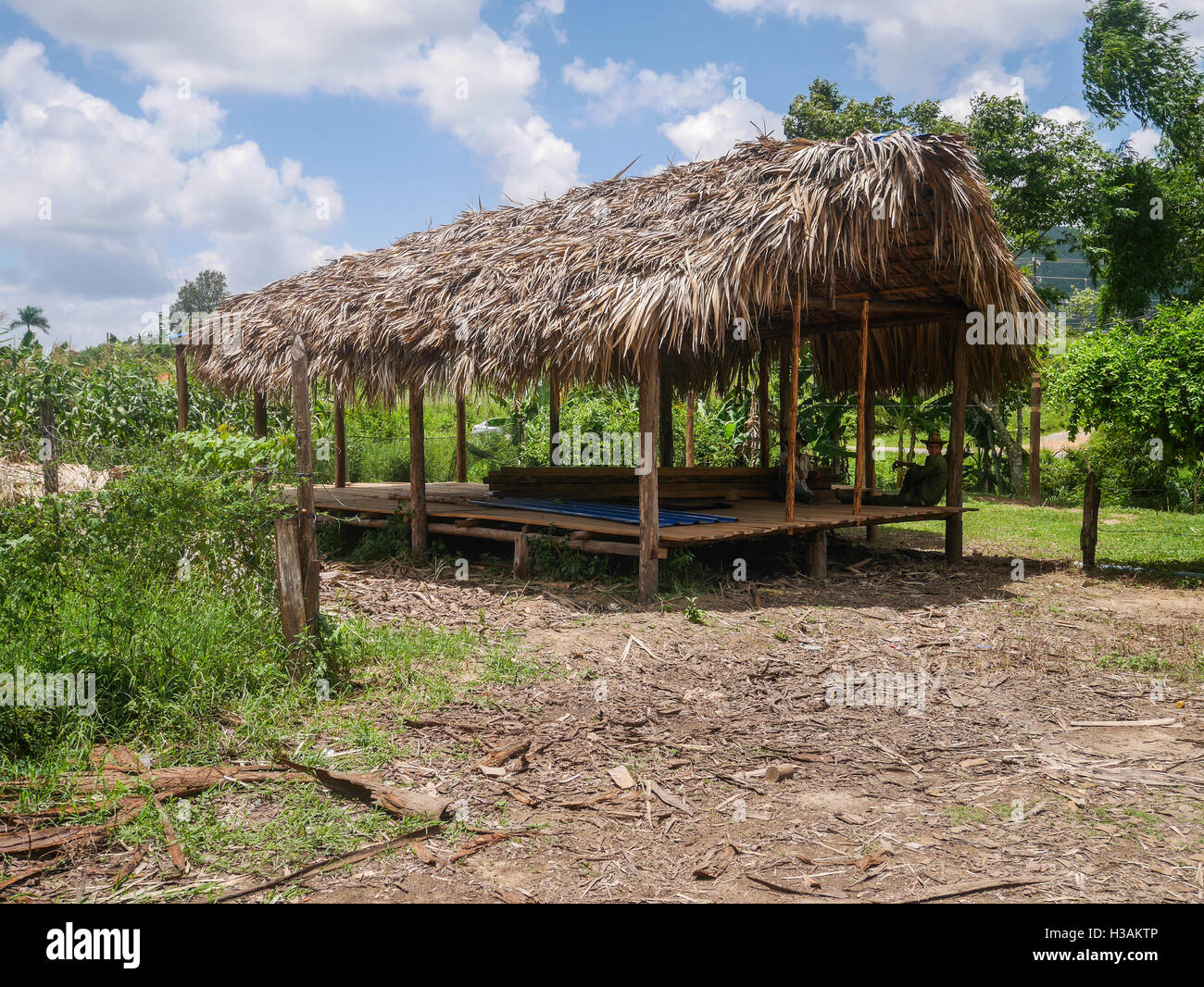 Ranch e bungalows costruiti in stile cubano su Cuba, legno, paglia e altri materiali locali vengono utilizzati per costruire e mantenere questi bellissimi i tubi flessibili Foto Stock