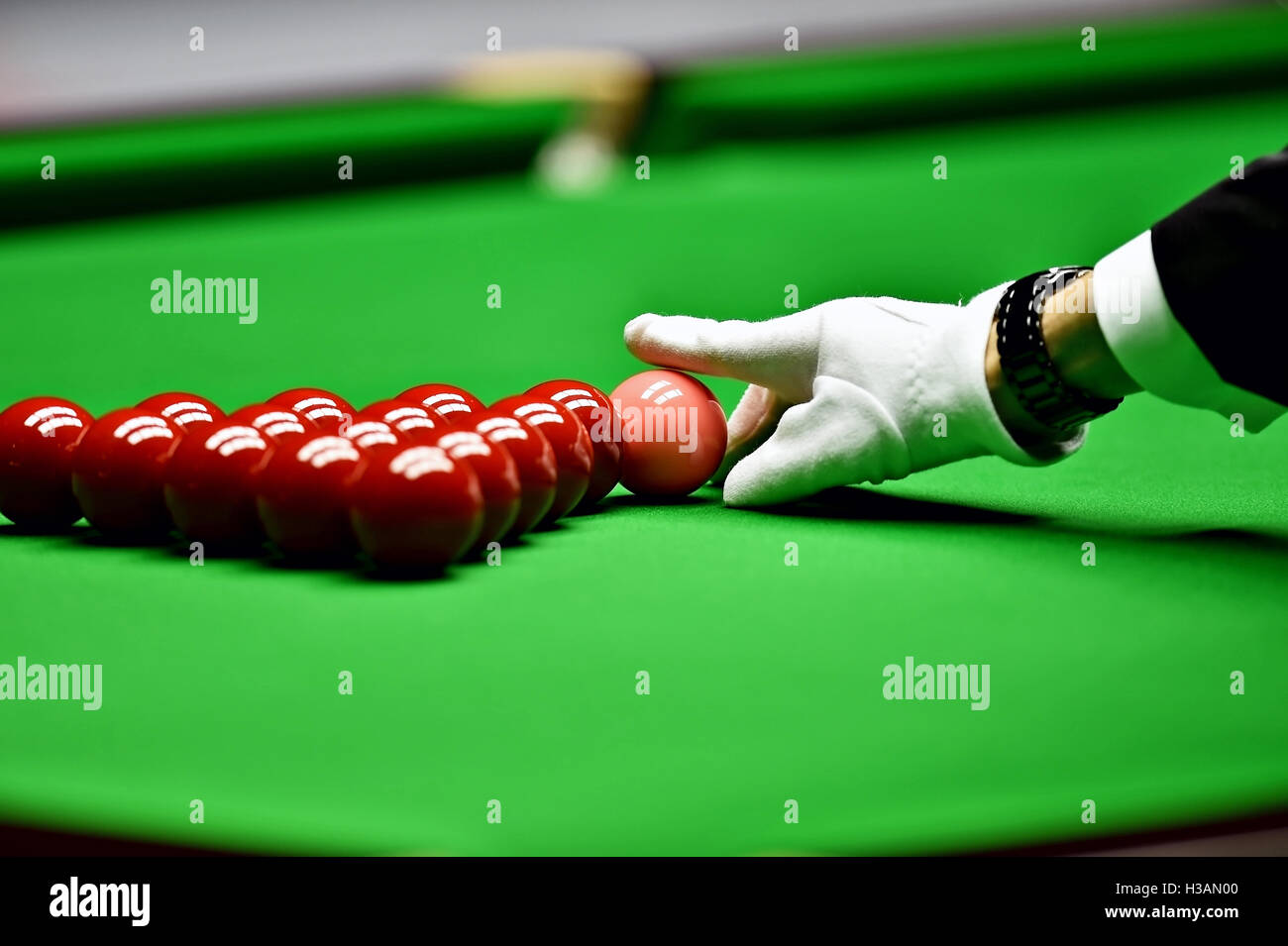 Snooker arbitro disponendo palla rosa all'inizio di un gioco Foto Stock
