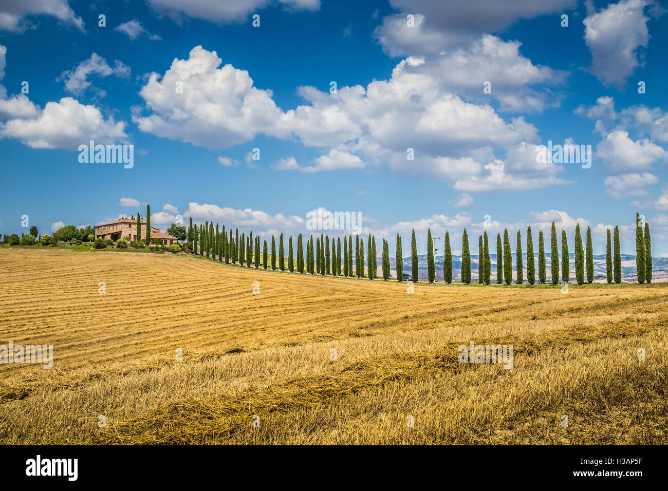 Splendido paesaggio toscano con tradizionale agriturismo e drammatici delle nuvole in una giornata di sole in Val d'Orcia, Italia Foto Stock