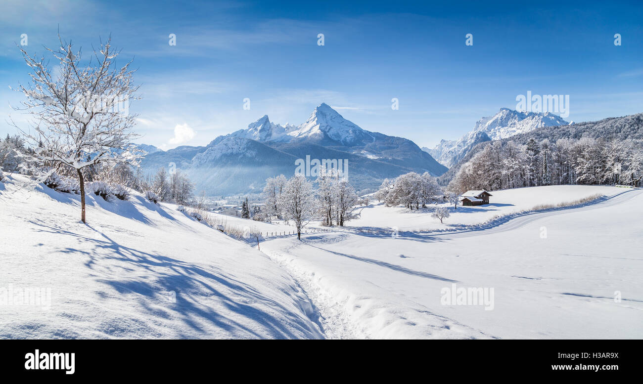 Idilliaco paese delle meraviglie invernali paesaggi con alberi e cime delle Alpi in una giornata di sole con cielo blu e nuvole Foto Stock