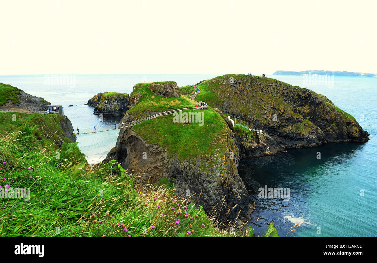 Carrick-a-Rede ponte di corde è un famoso ponte di corde vicino a Ballintoy nella contea di Antrim, Irlanda del Nord. Foto Stock