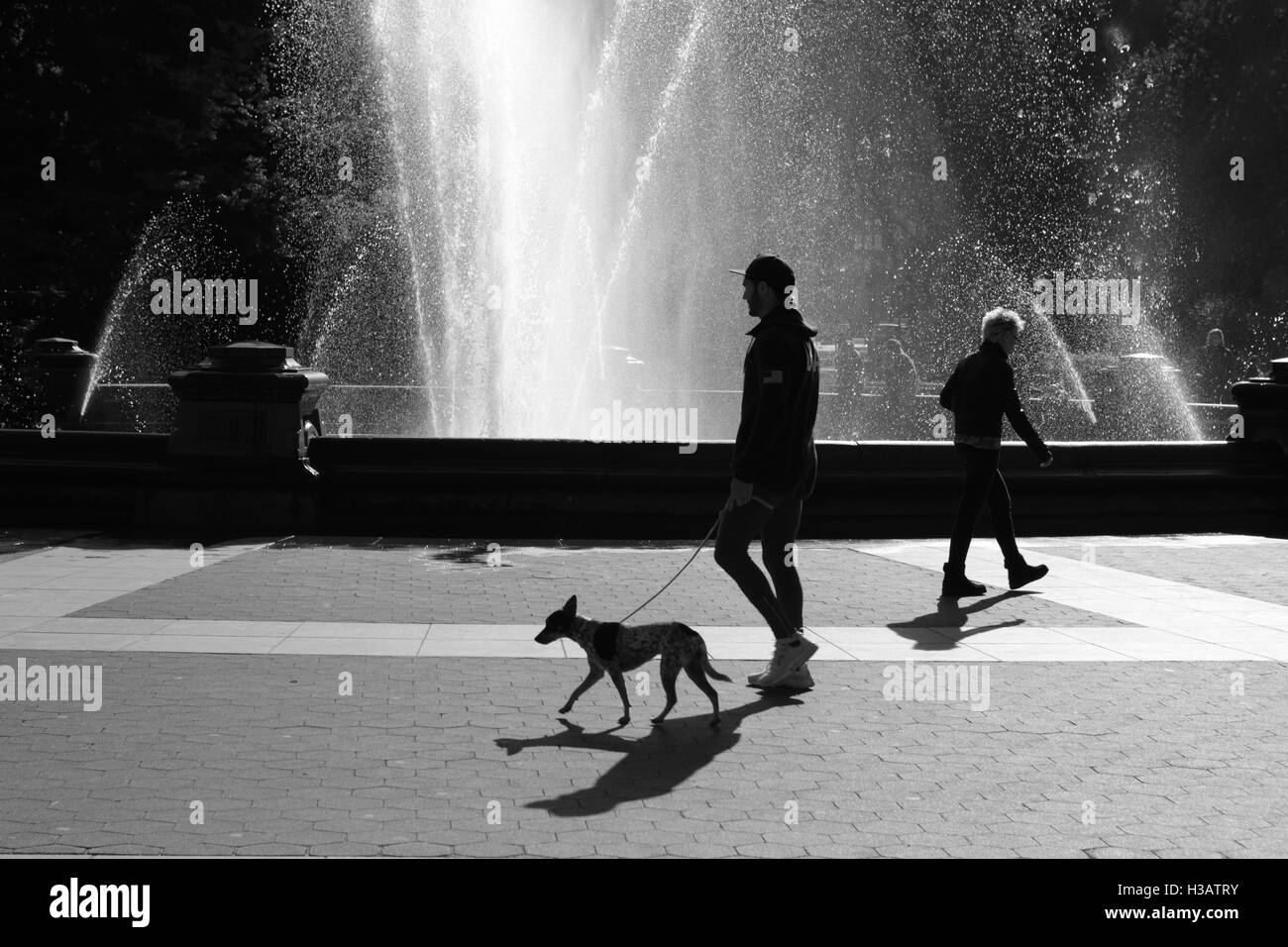 Silhouette di un uomo a piedi il suo cane accanto alla fontana in Washington Square Park di New York come il sole sorge dietro Foto Stock