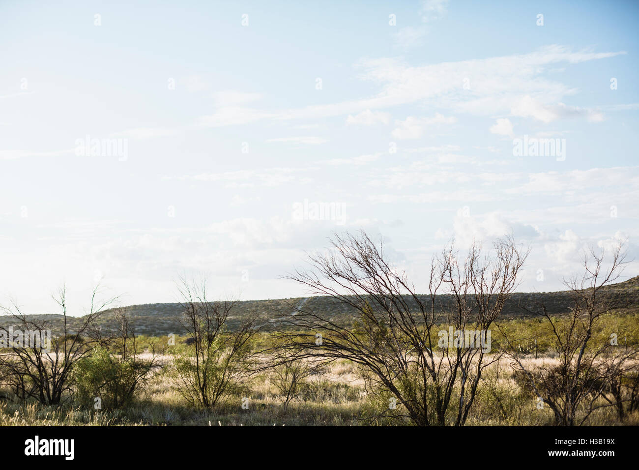 Campagna del Texas Foto Stock