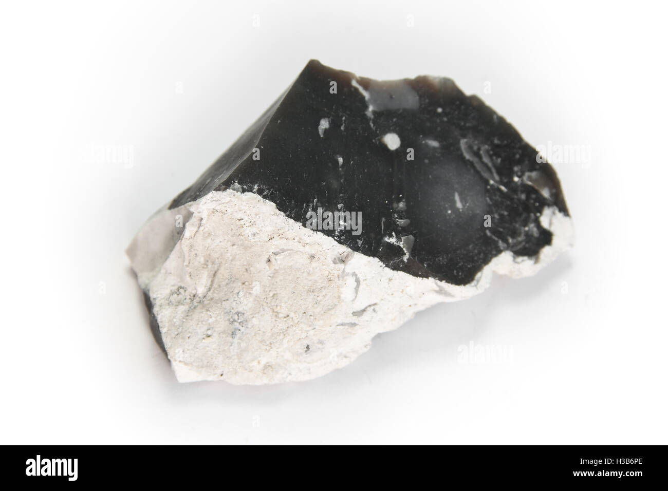 Selce, un disco, sedimentaria cryptocrystalline forma del minerale quarzo Foto Stock