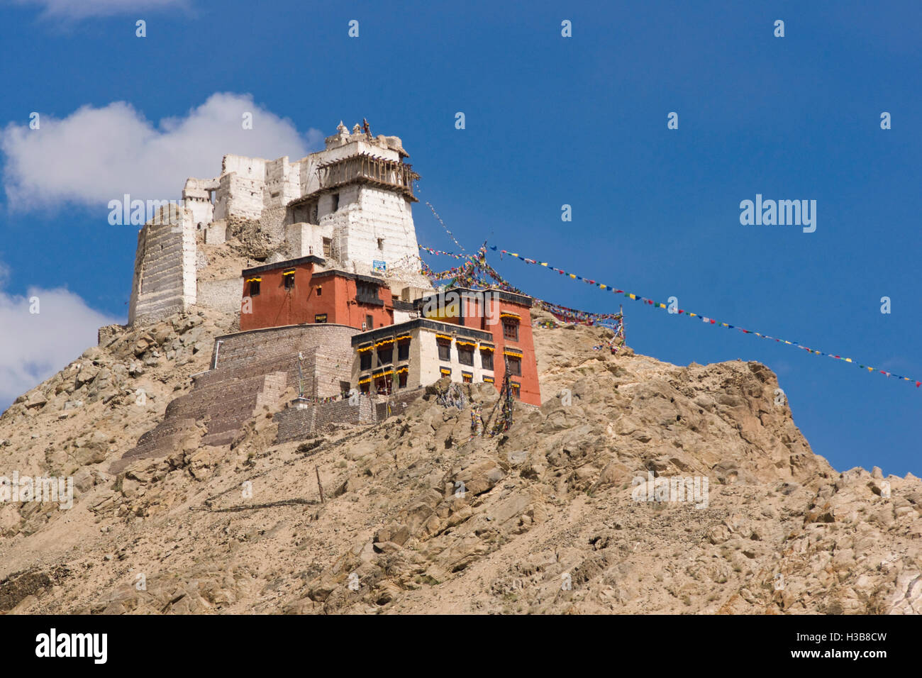 Rovinato fort seduto sopra il Tsemo Gompa su una montagna arida sopra Leh, capitale del Ladakh. Foto Stock