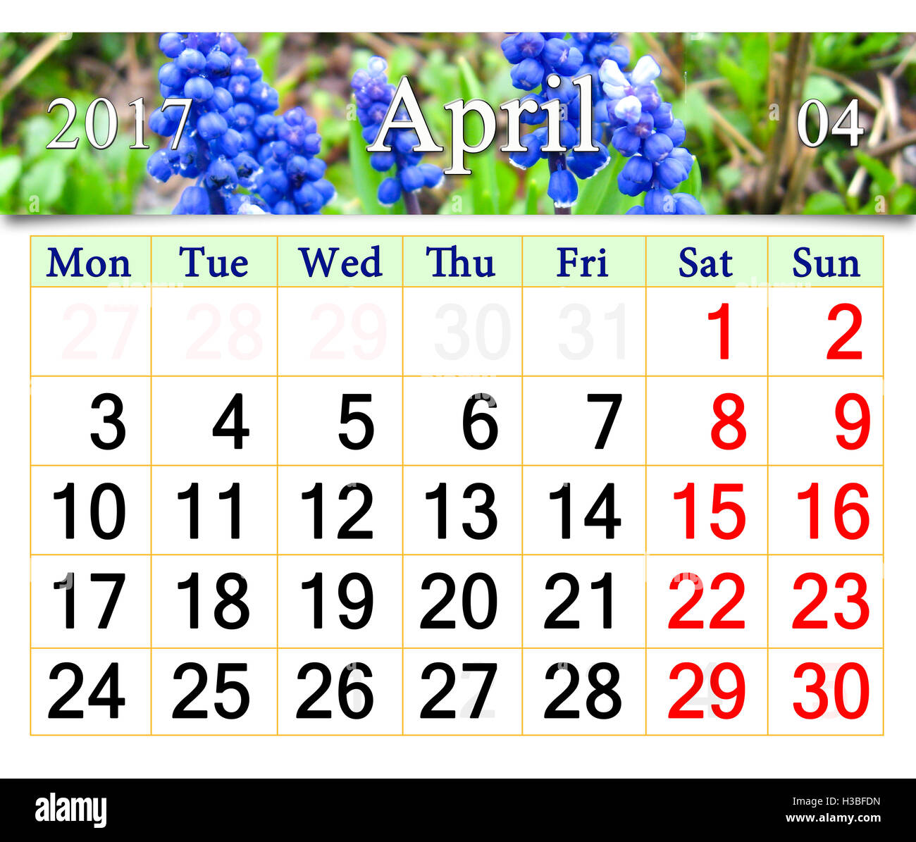 Calendario per il mese di aprile 2017 con nastro di fioritura muscari Foto Stock