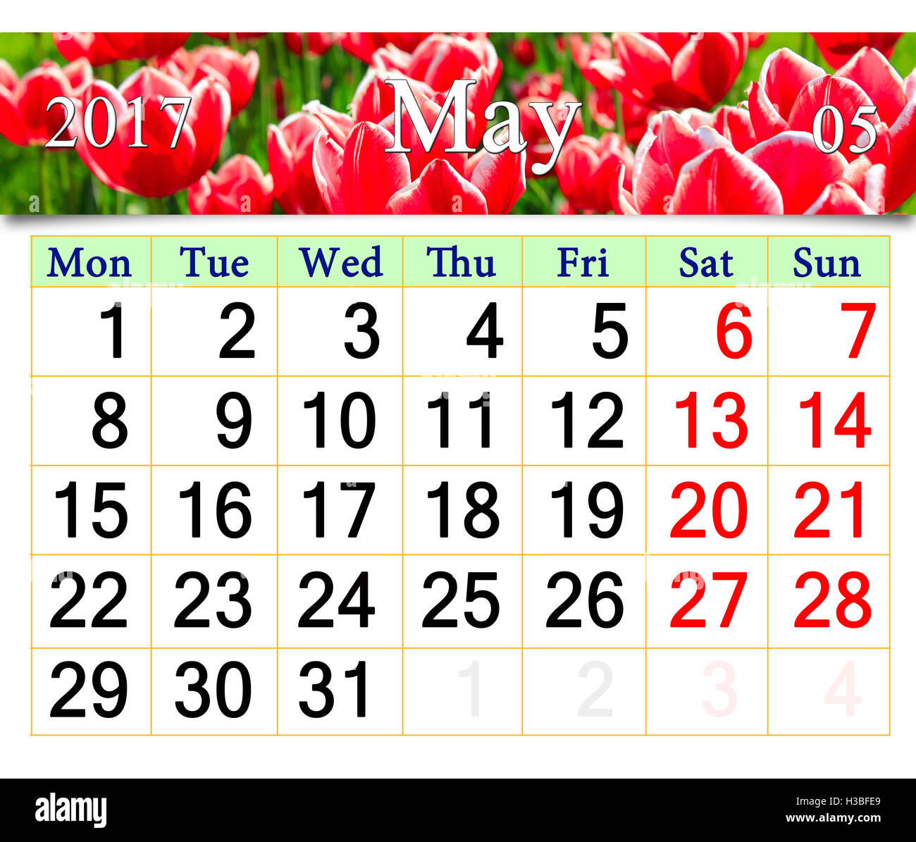 Calendario per il mese di maggio 2017 sullo sfondo di tulipani rossi su il fiore-letto Foto Stock