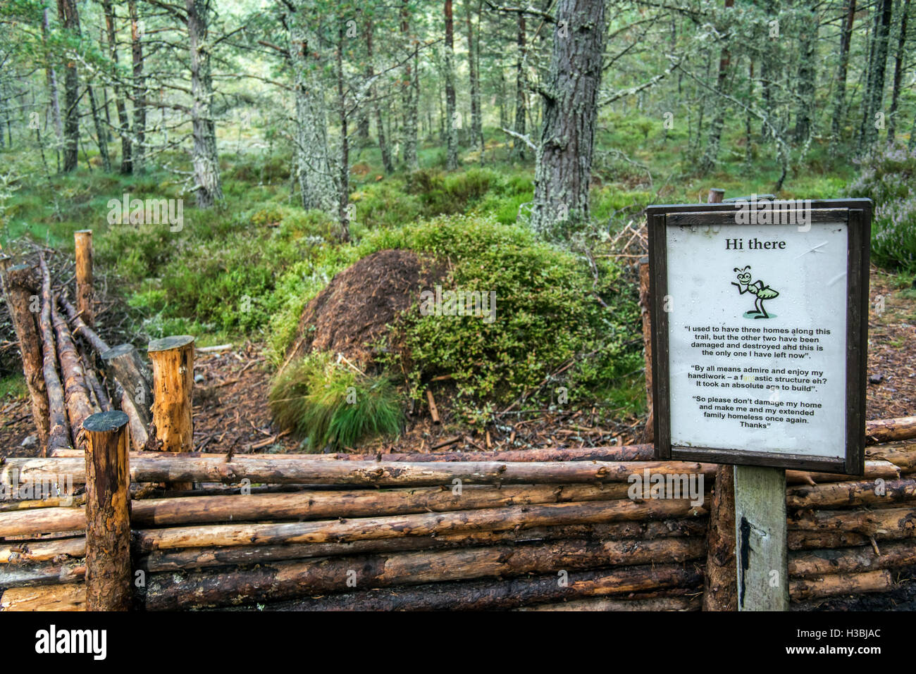 Segnale di avvertimento in prossimità recintata formicaio di legno rosso formiche / Cavallino formica (Formica rufa) fatto di aghi di pino in Abernethy Forest, Scozia Foto Stock