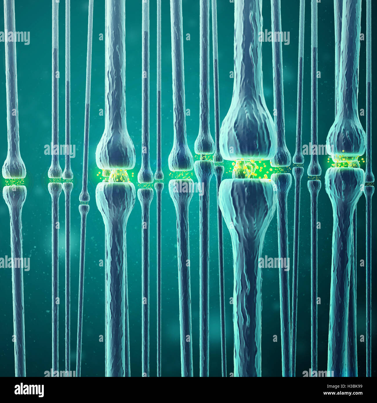 Trasmissione sinaptica, sistema nervoso umano. Il rendering 3D Foto Stock
