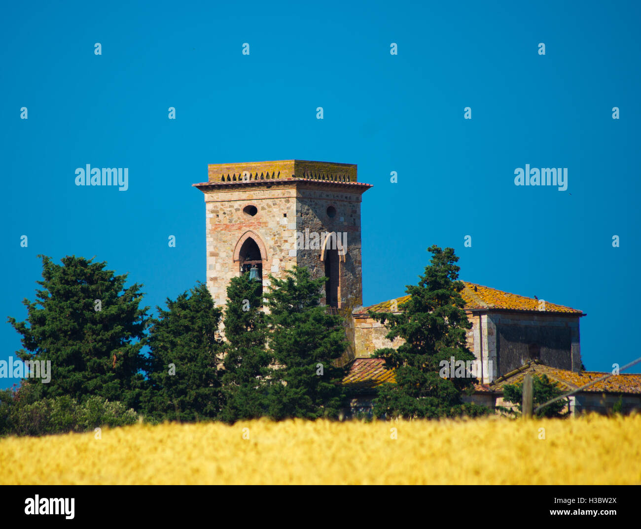 Il campanile di una chiesa si erge nel mezzo di una bionda coppia campo di grano Foto Stock
