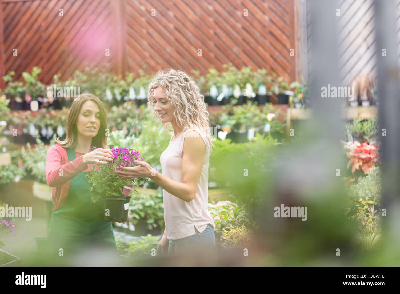 Un fioraio che mostra di piante in vaso per donna Foto Stock