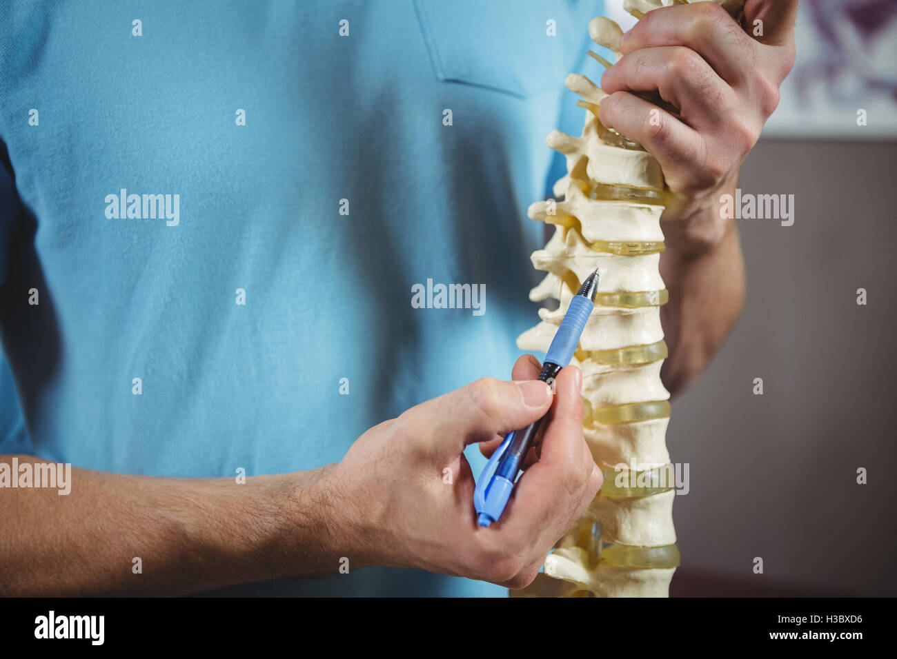 Fisioterapista puntando al modello della colonna vertebrale Foto Stock