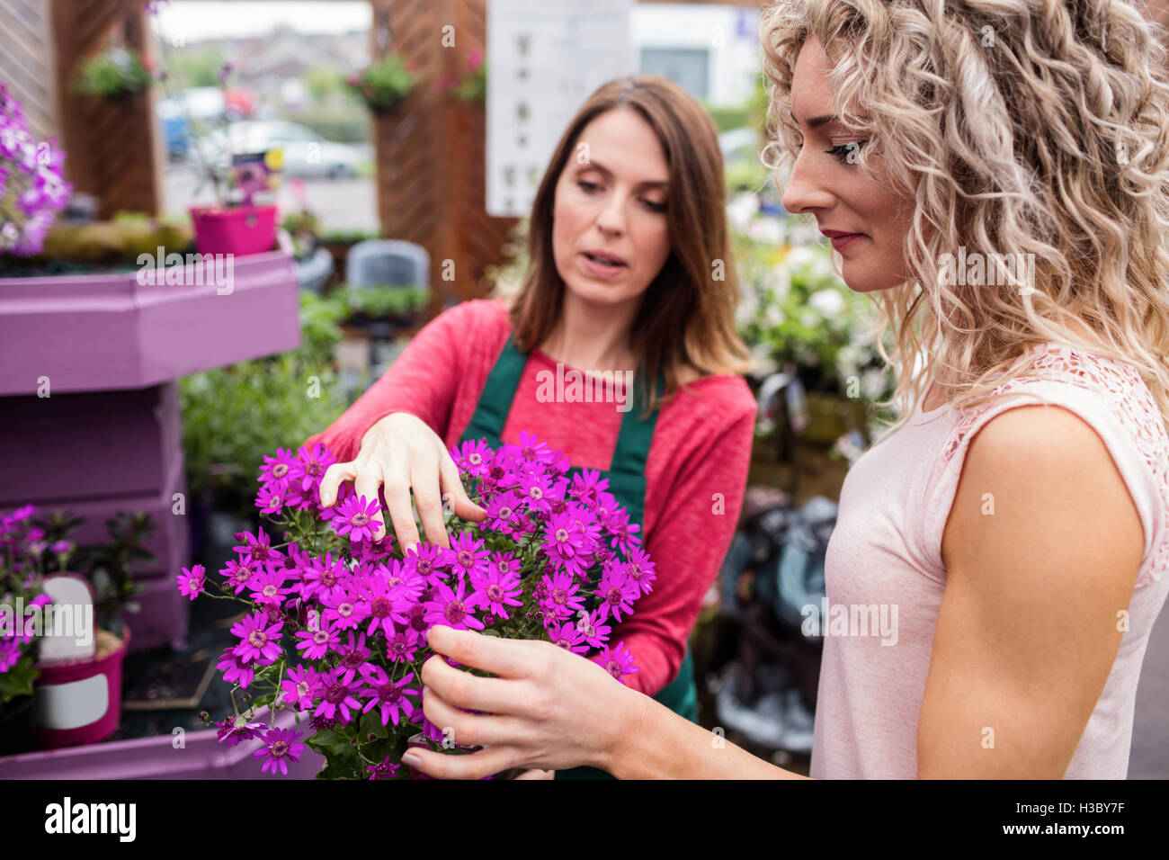 Fioraio e donna guardando i fiori Foto Stock