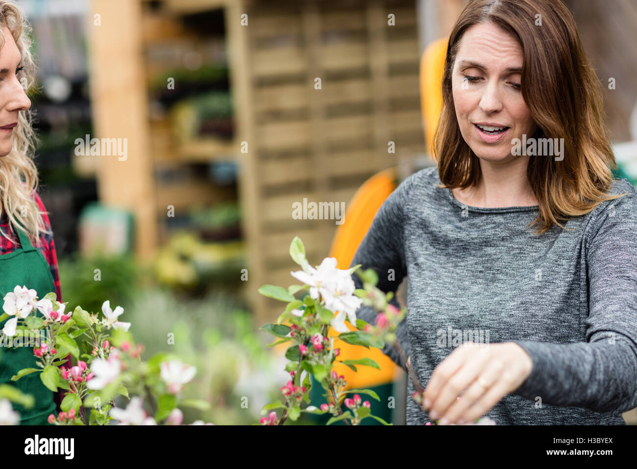 Donna che parla di un fioraio in centro giardino Foto Stock