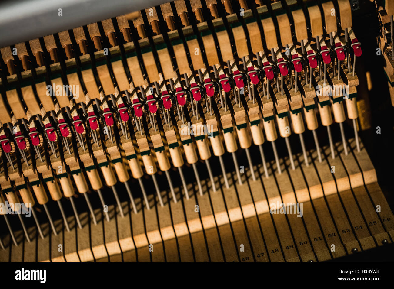 Close-up di corde per pianoforte Foto Stock