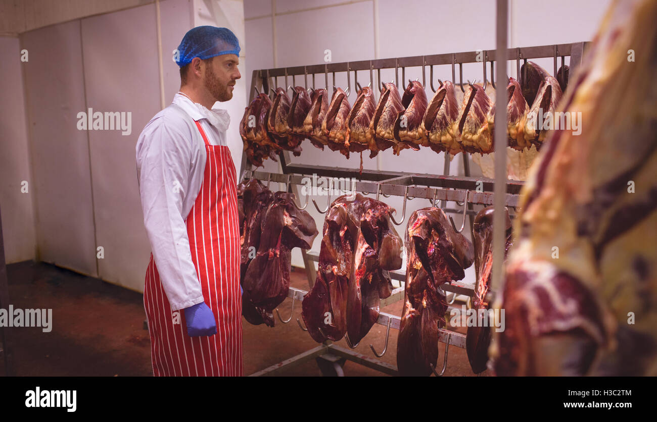 Butcher guardando al cuore di manzo appeso nella stanza di deposito Foto Stock