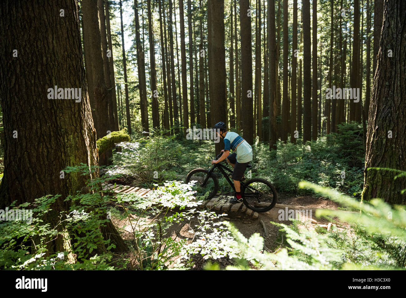 Ciclista maschio escursioni in bicicletta nella foresta Foto Stock